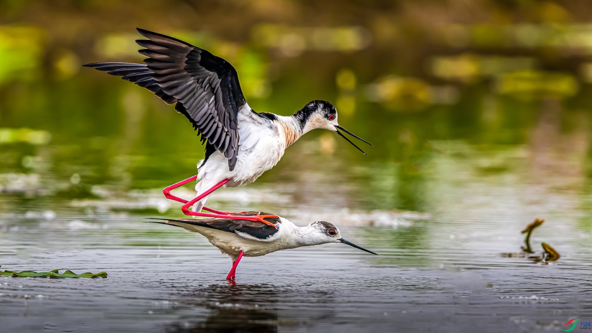 1_XXI9728-1 ����.jpeg