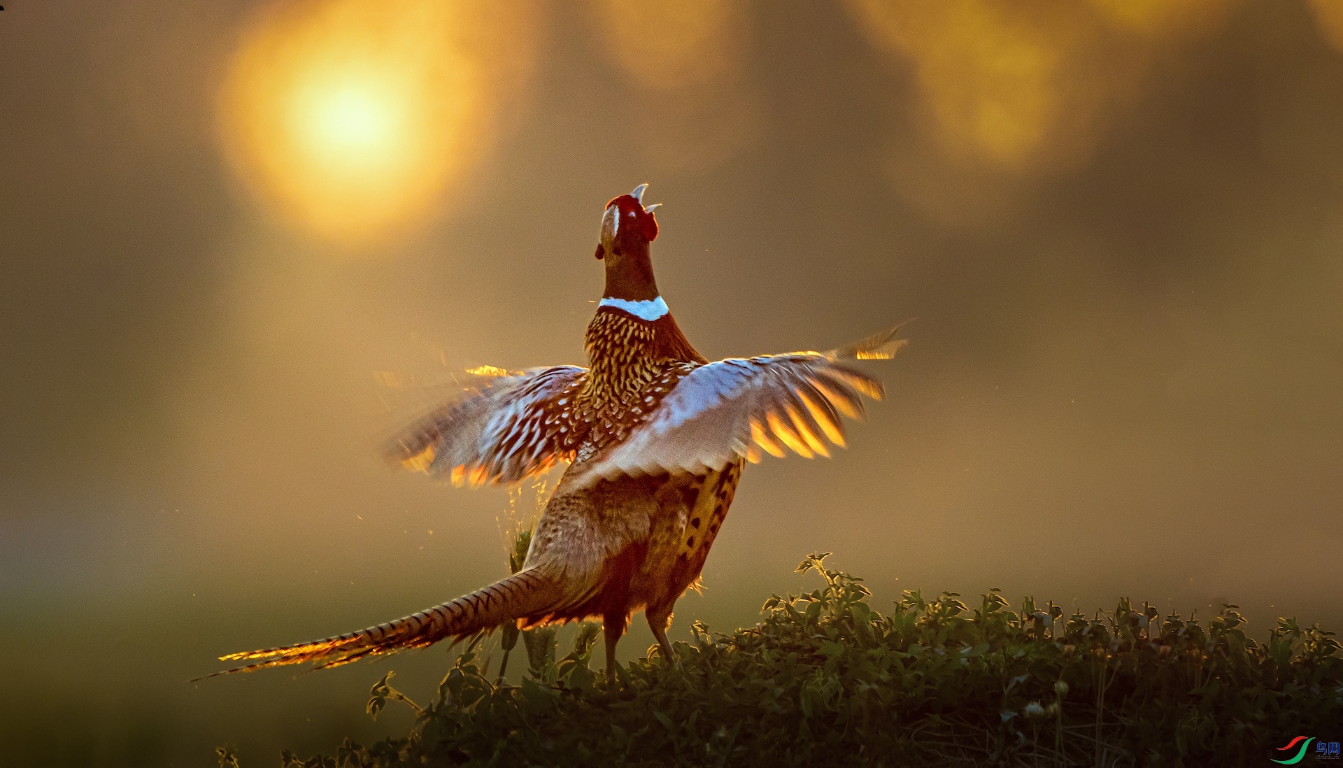 1-0479 ����.jpeg