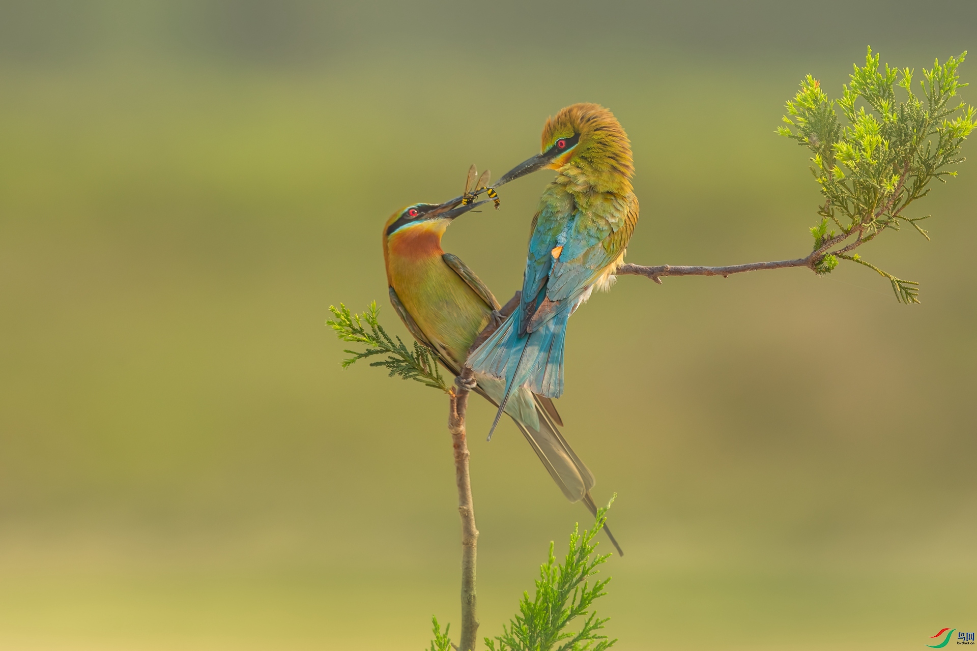 B86I7797 _����.jpg