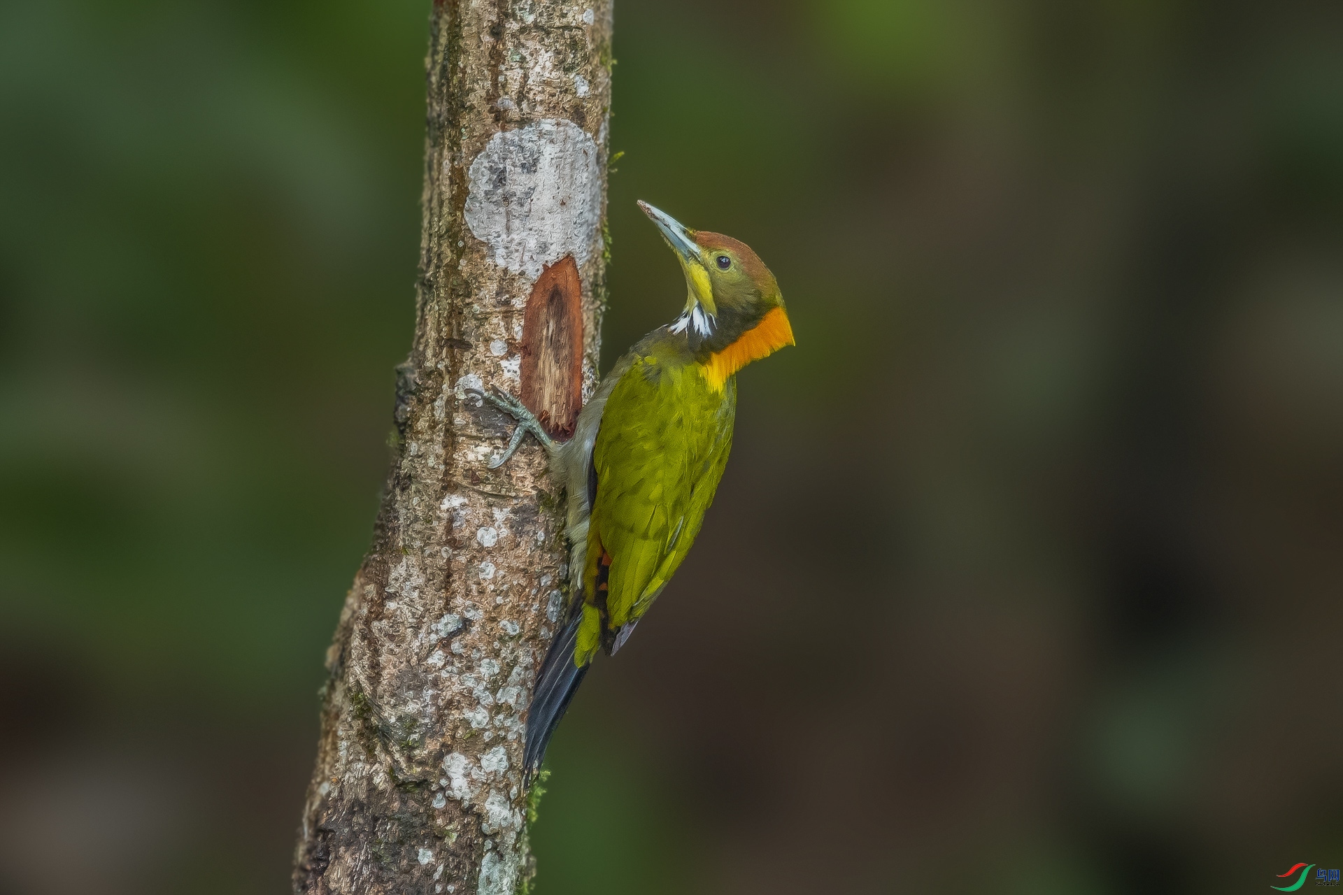 DSC_6668.jpg