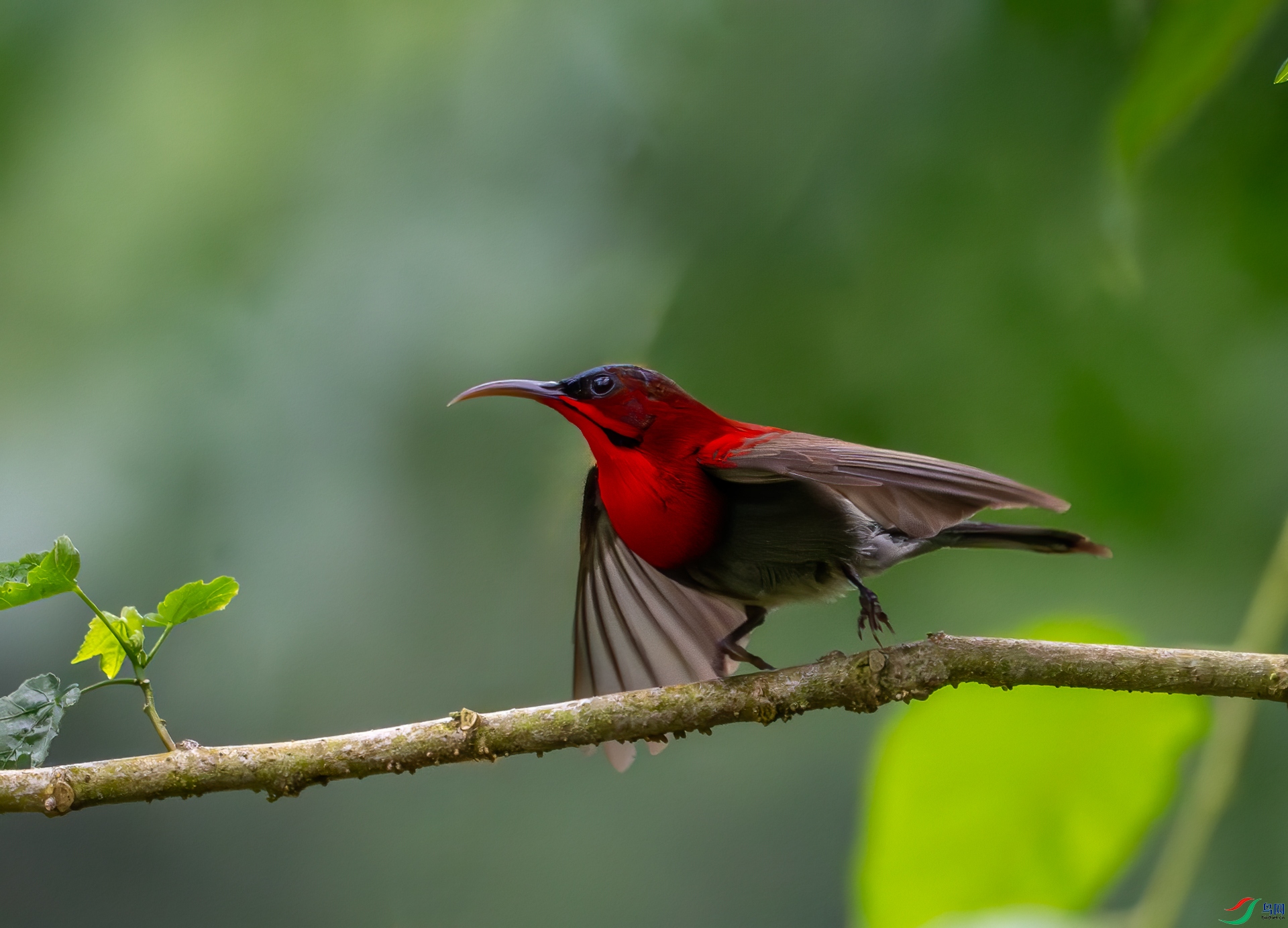 DSC_1949.jpg