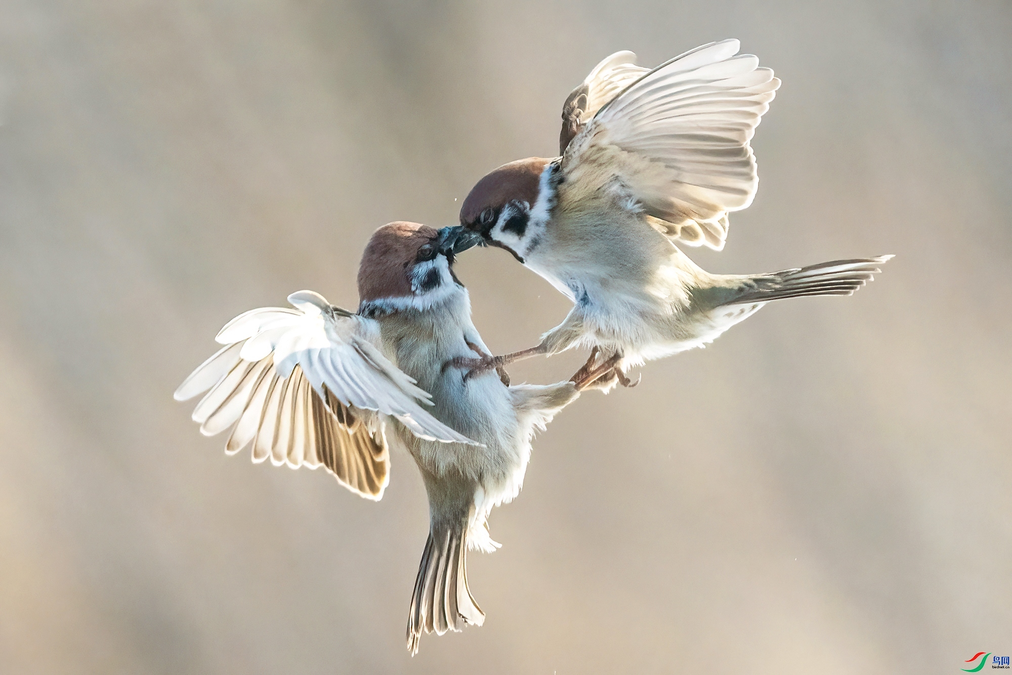 �������� ���� 0451x.jpg