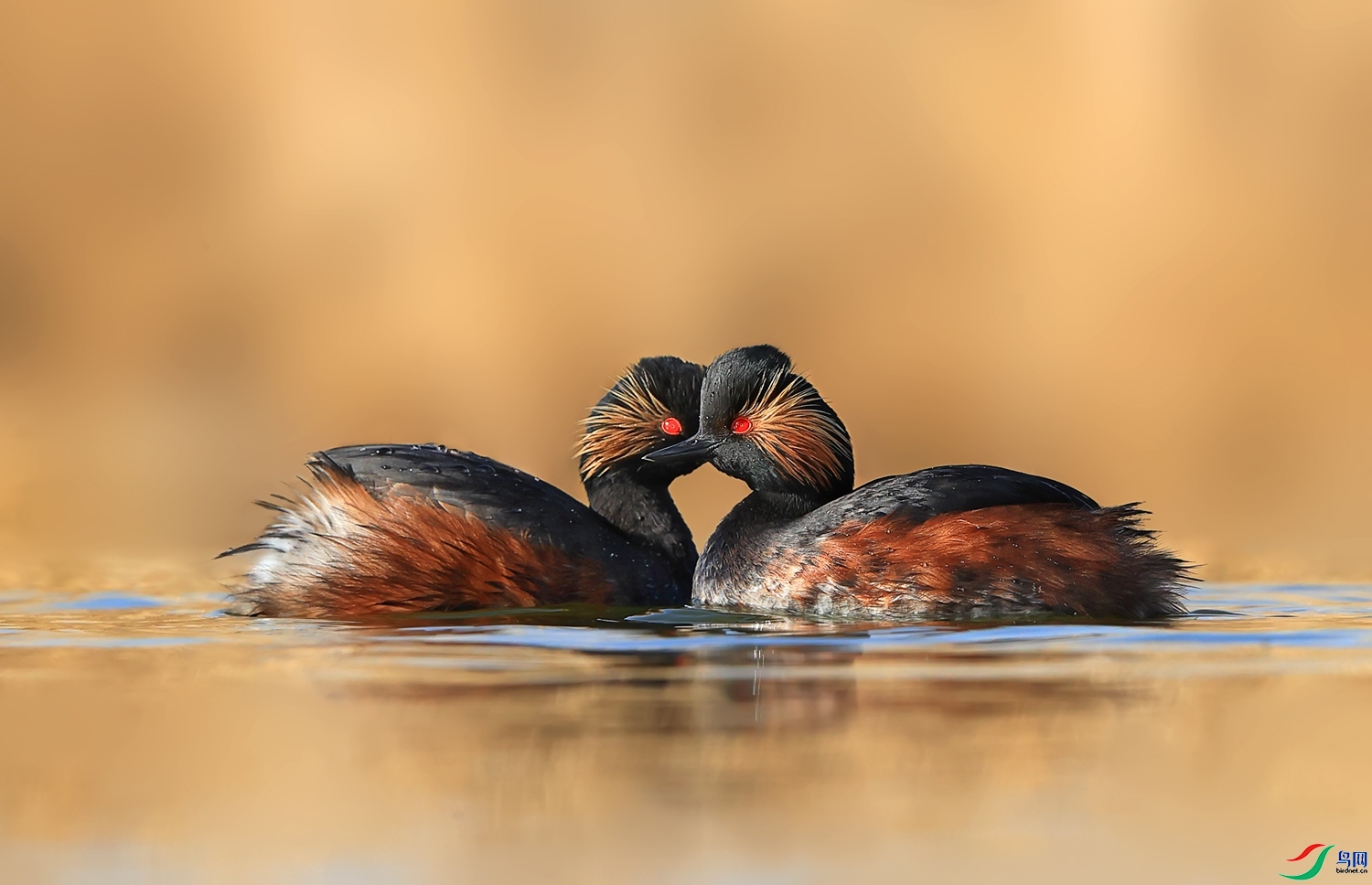 ÿ�ռ��� ������ ���� ��Ұ ����.jpg