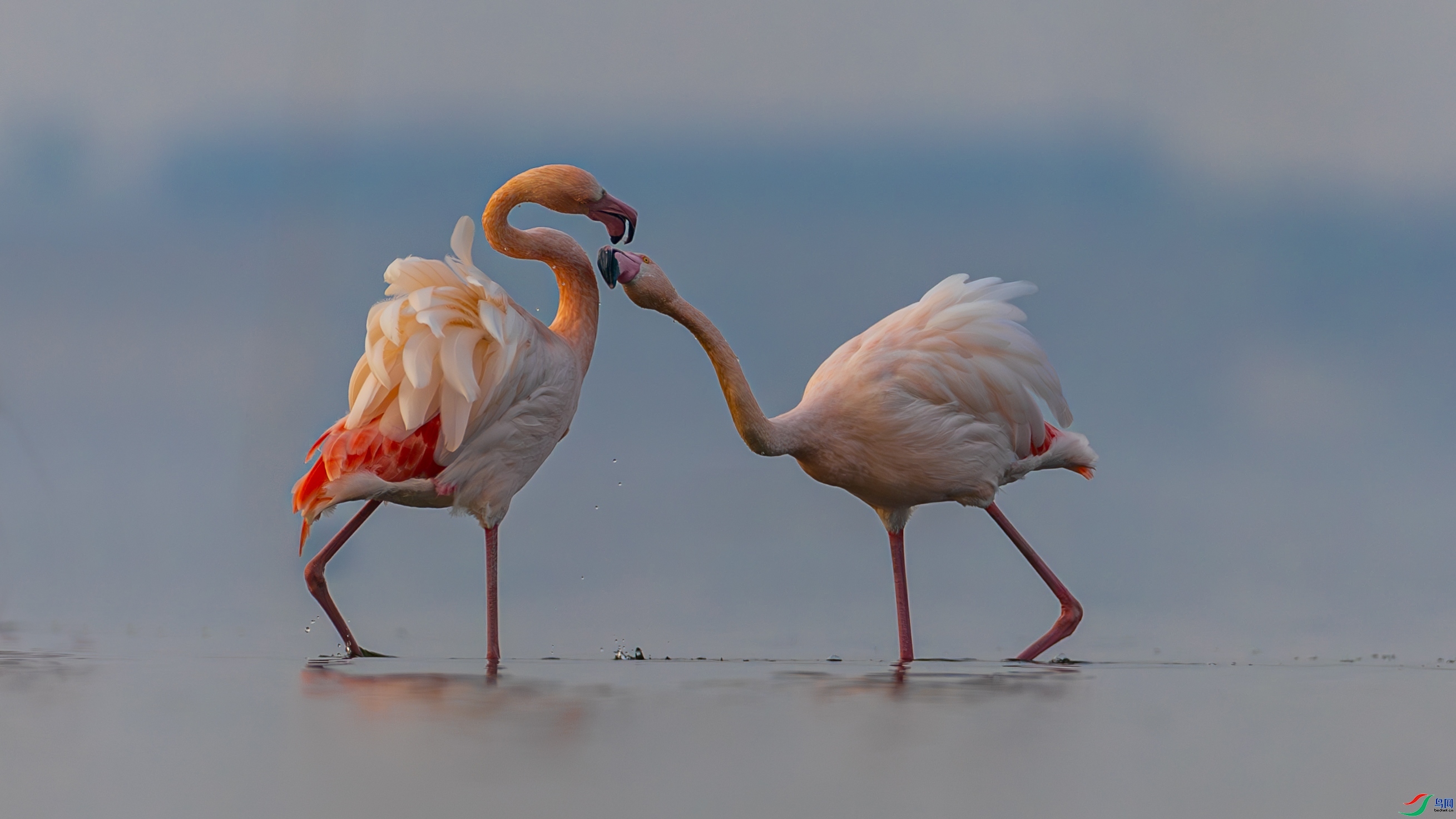 ÿ�ռ��� ��Ϸ  ���� �䱾���� ����.jpg