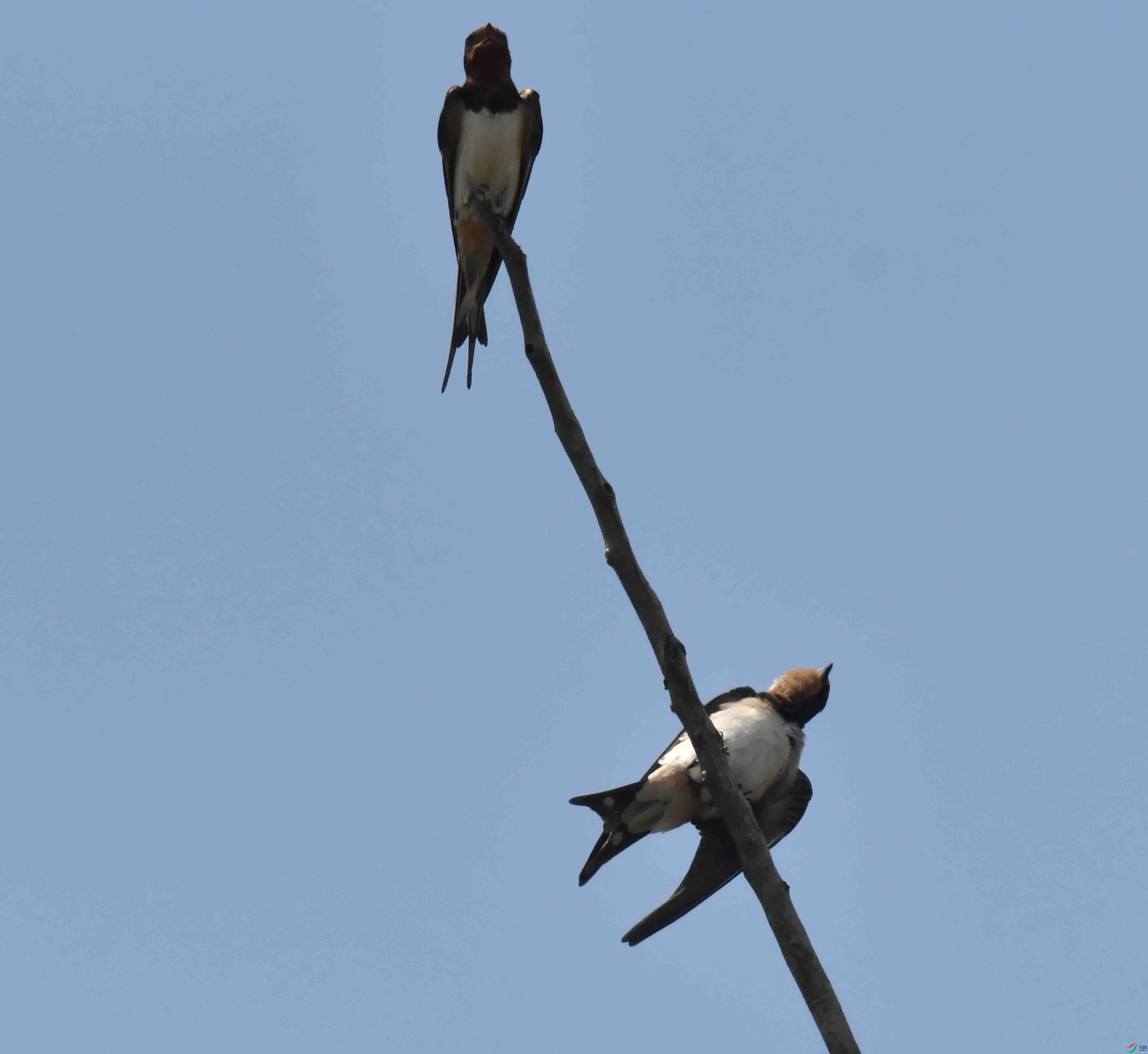 DSC_6505.JPG