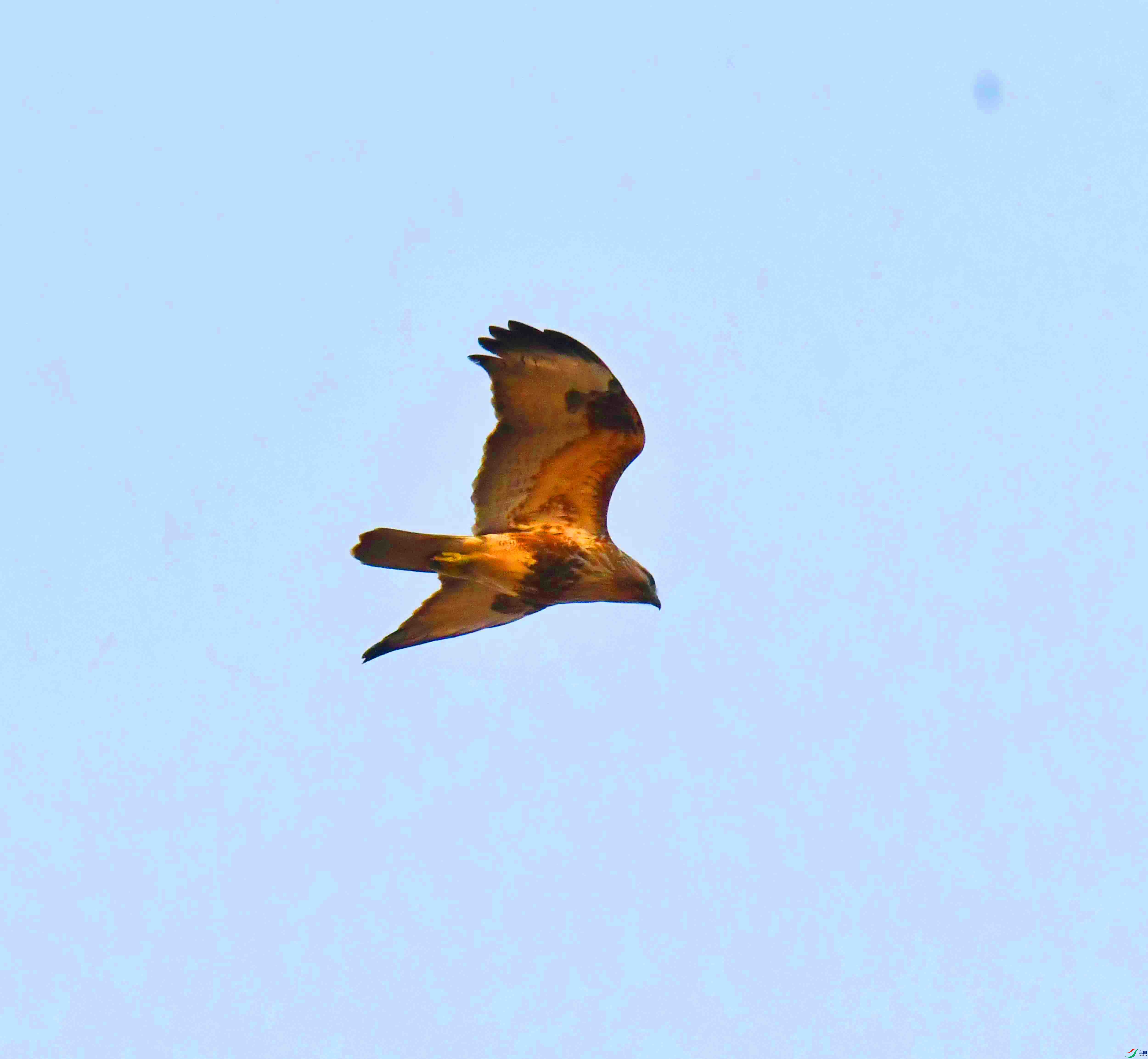 DSC_2718.JPG