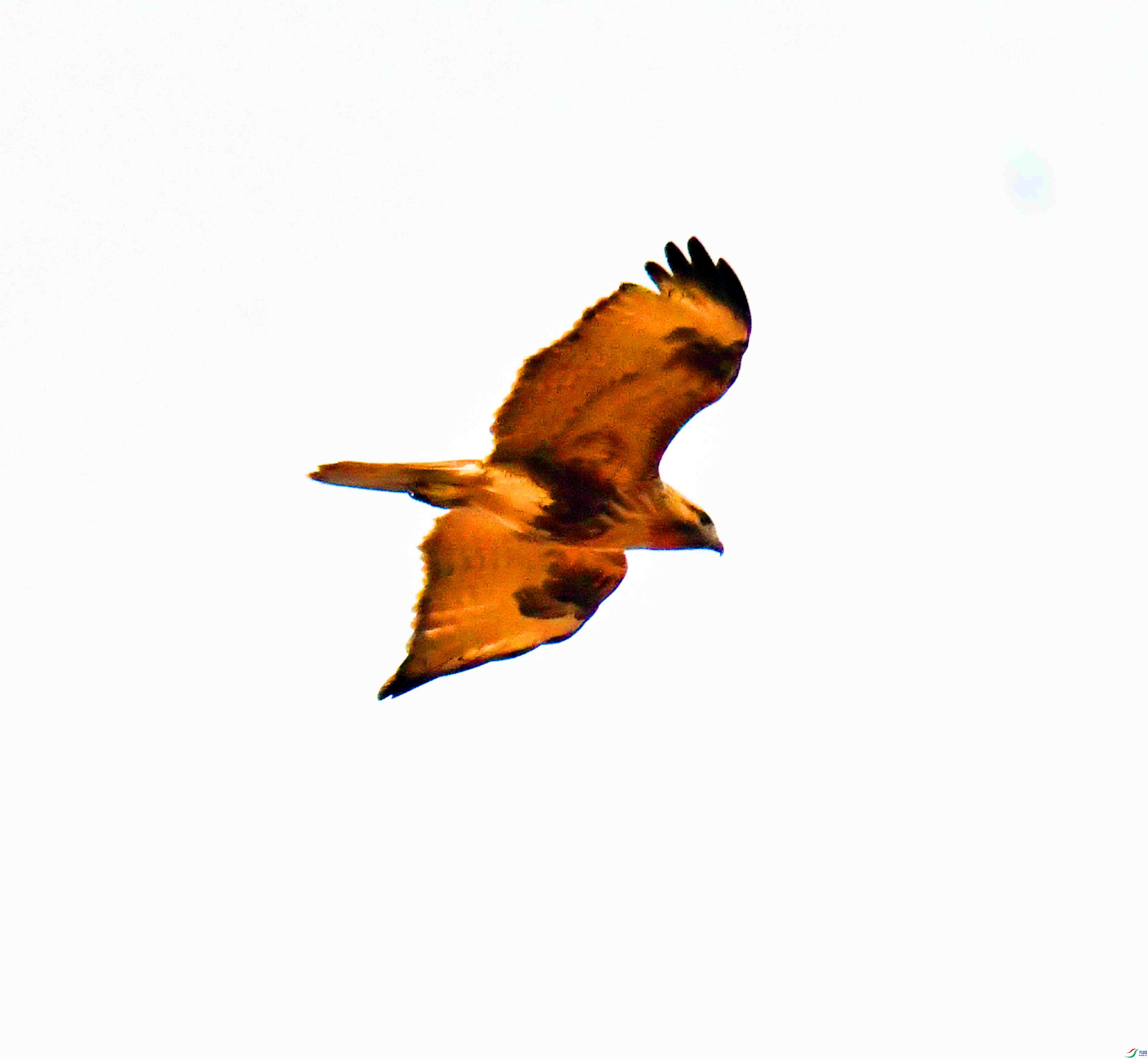 DSC_2721.JPG
