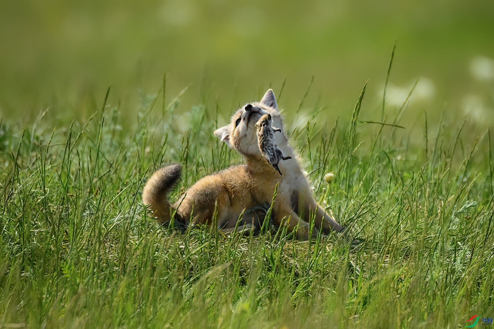 DSC_3904.jpg
