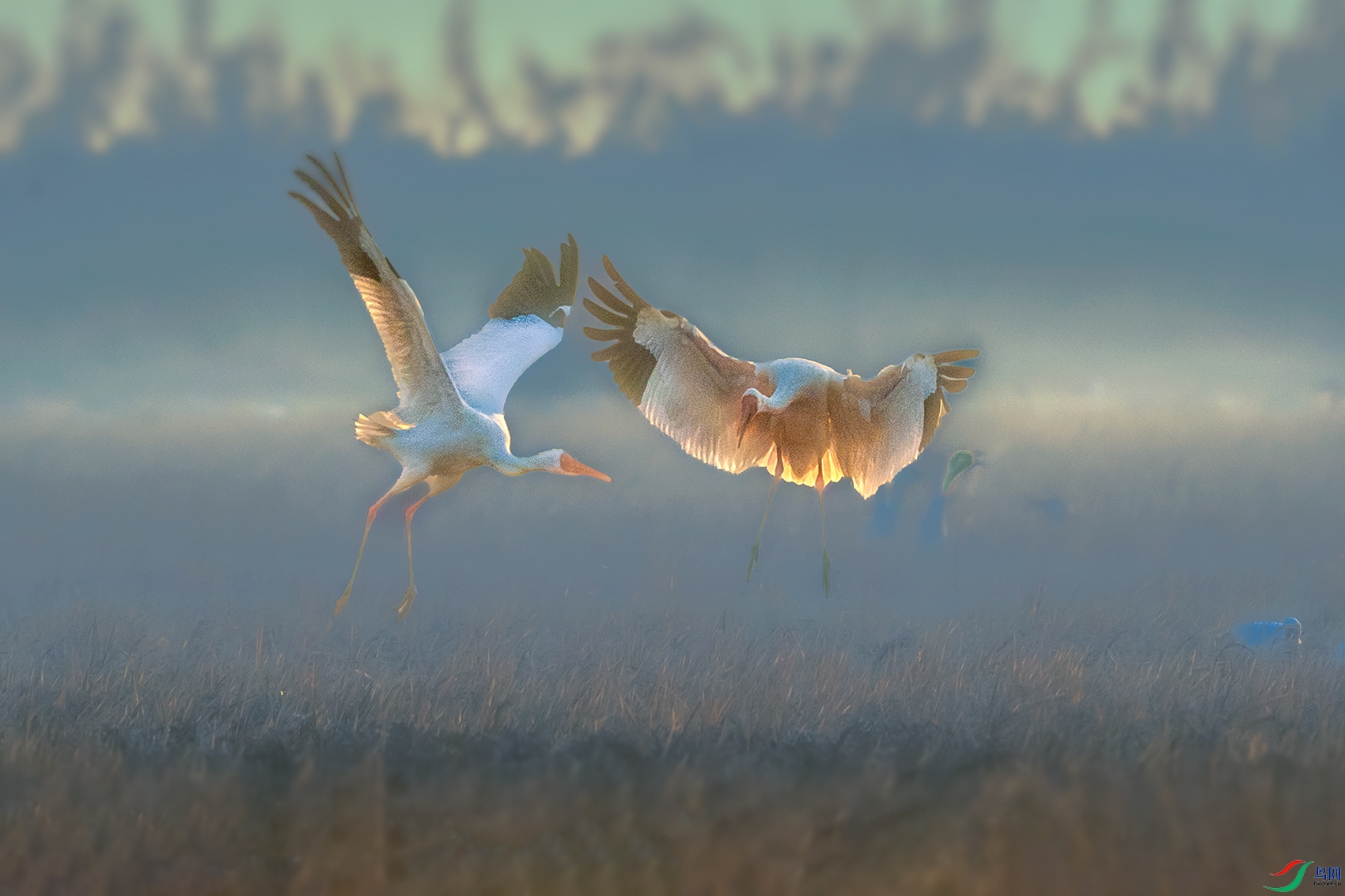 �׺�----˫����Ϯ����