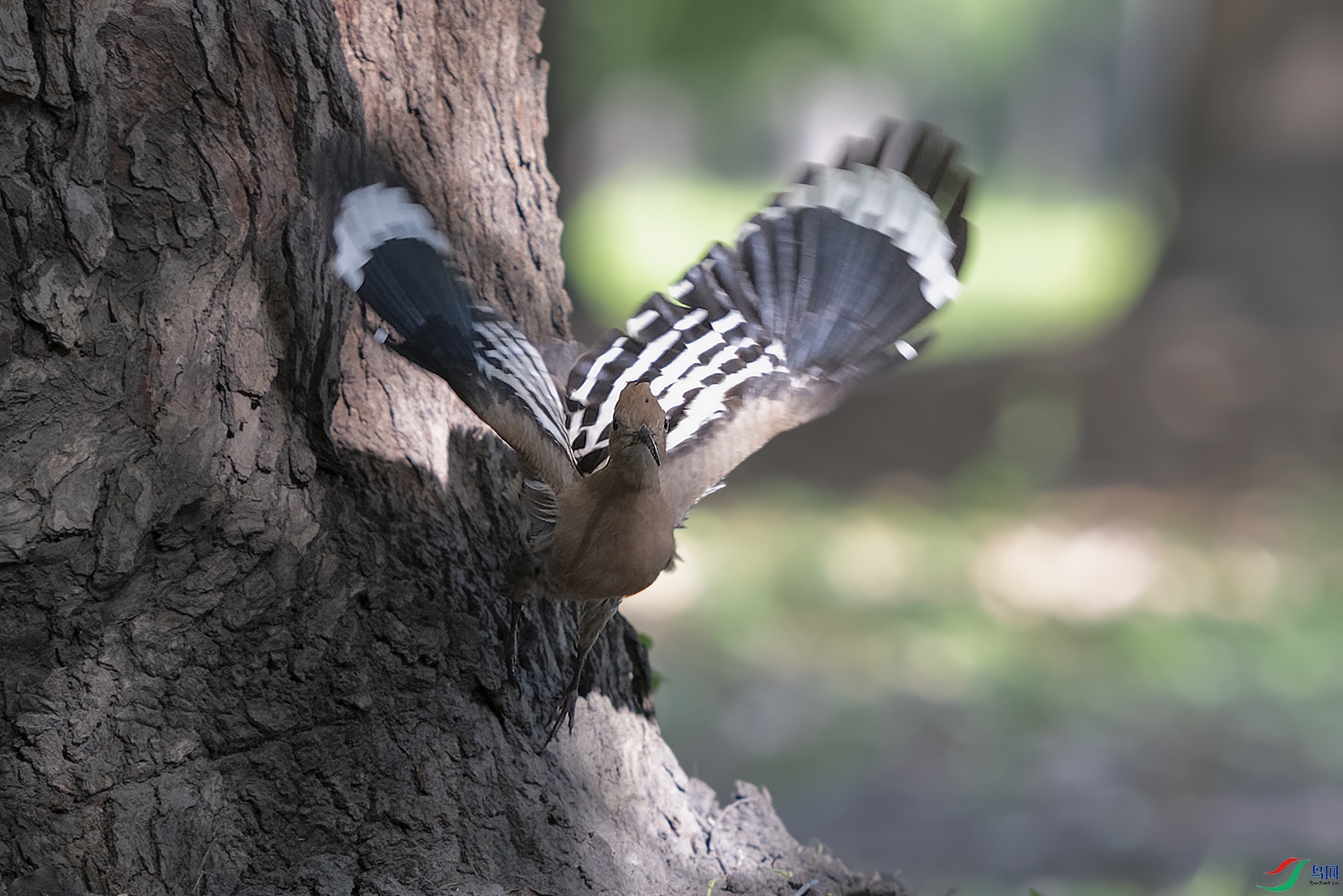 DSC_1284_DxOa6.jpg
