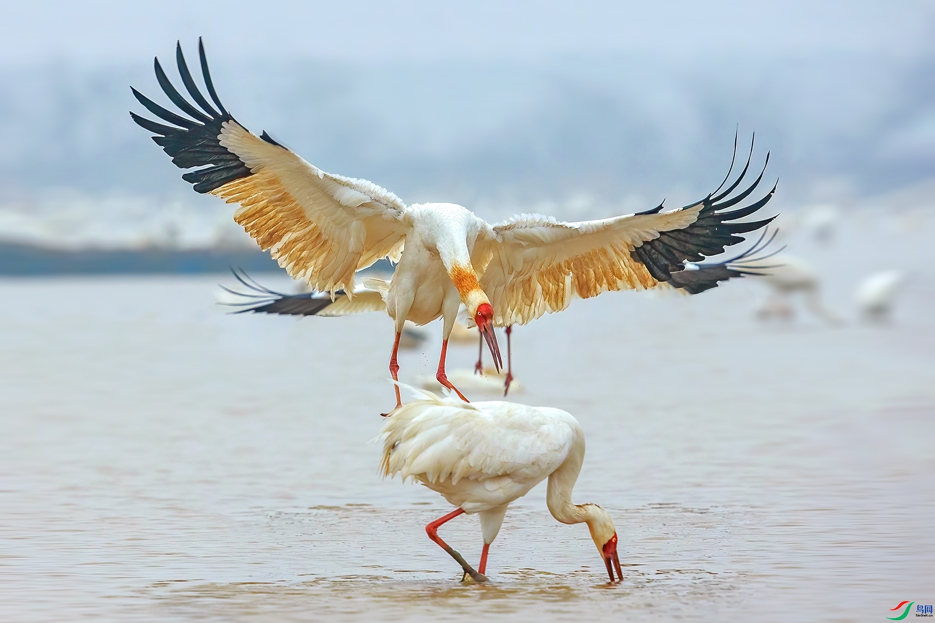 ���q��  ���� ���¹�Ӱ ��һ.jpg