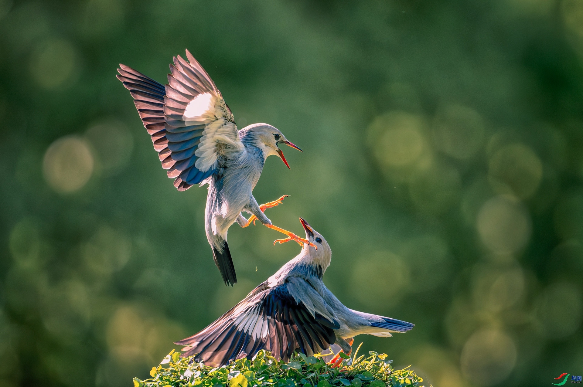 ���� ���� ��Ϳ�ֺ�Ϳ �ܶ�.jpeg