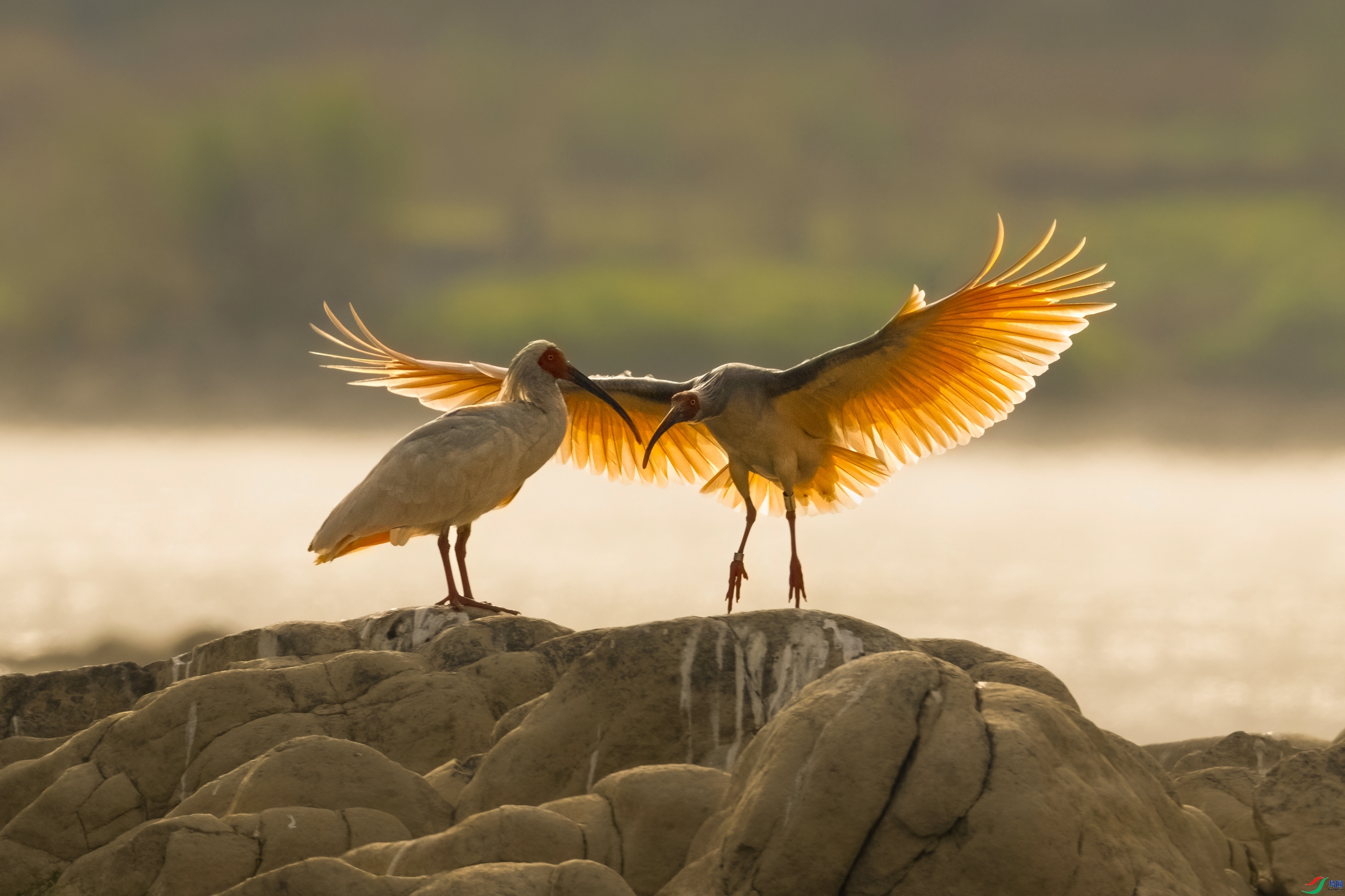 ������ ���� �չ�����-����  �ܶ�.jpeg