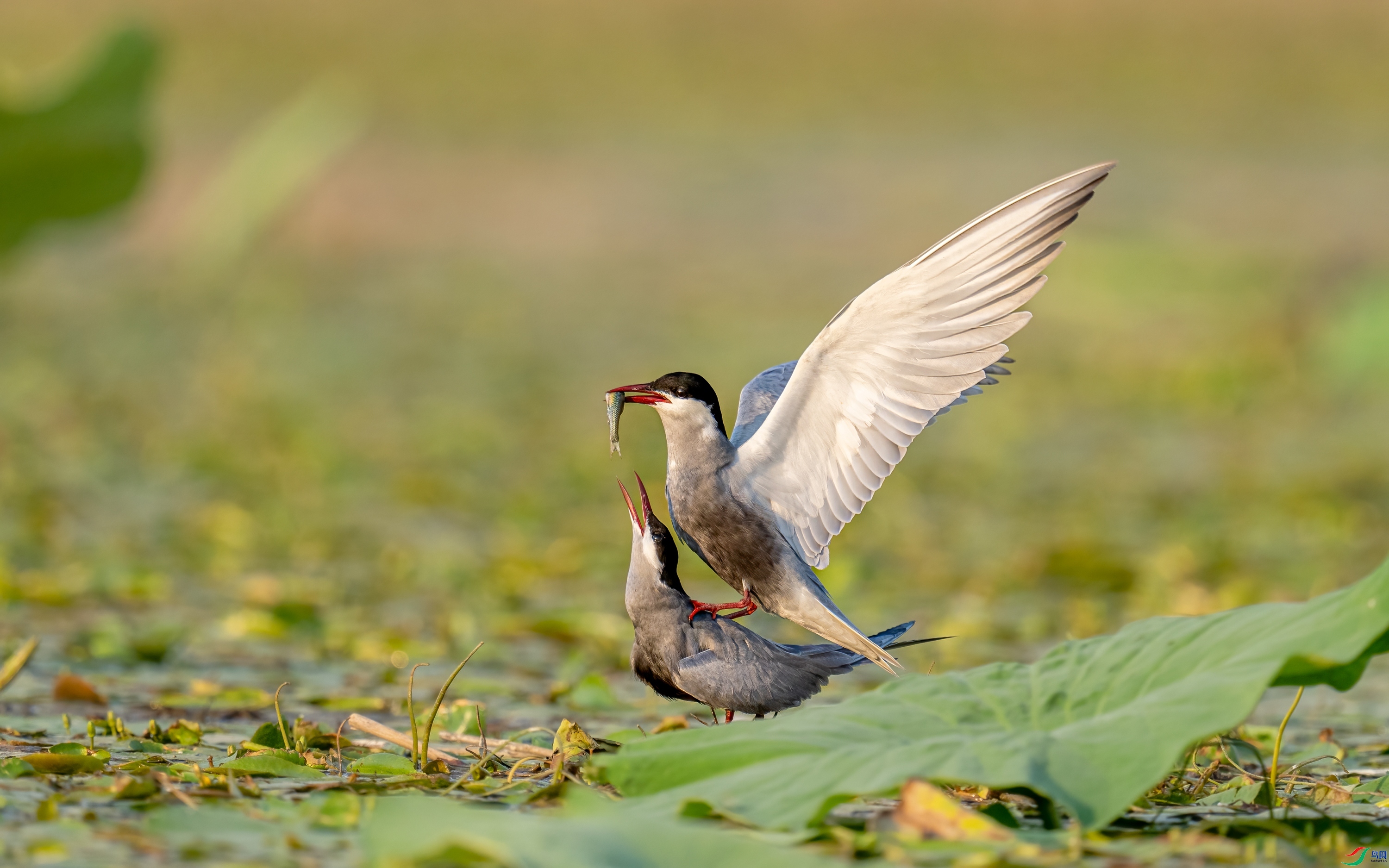 �������� ���� ���� �ܶ�.jpg