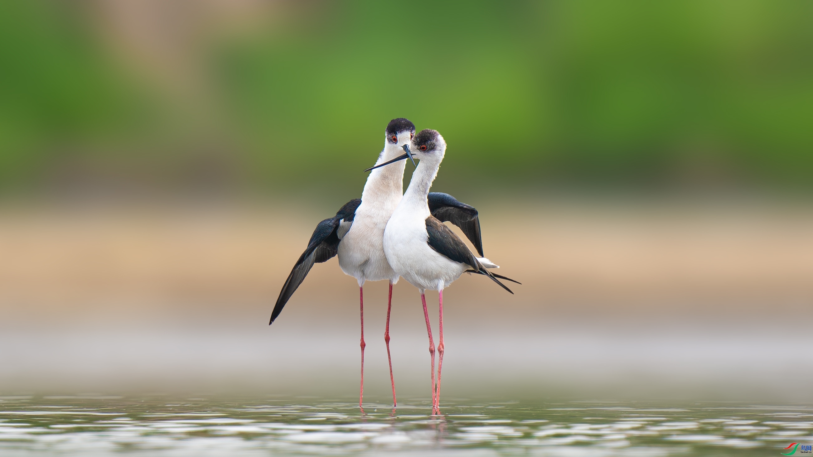 ����֮��  ���� ĸ�� �ܶ�.jpg