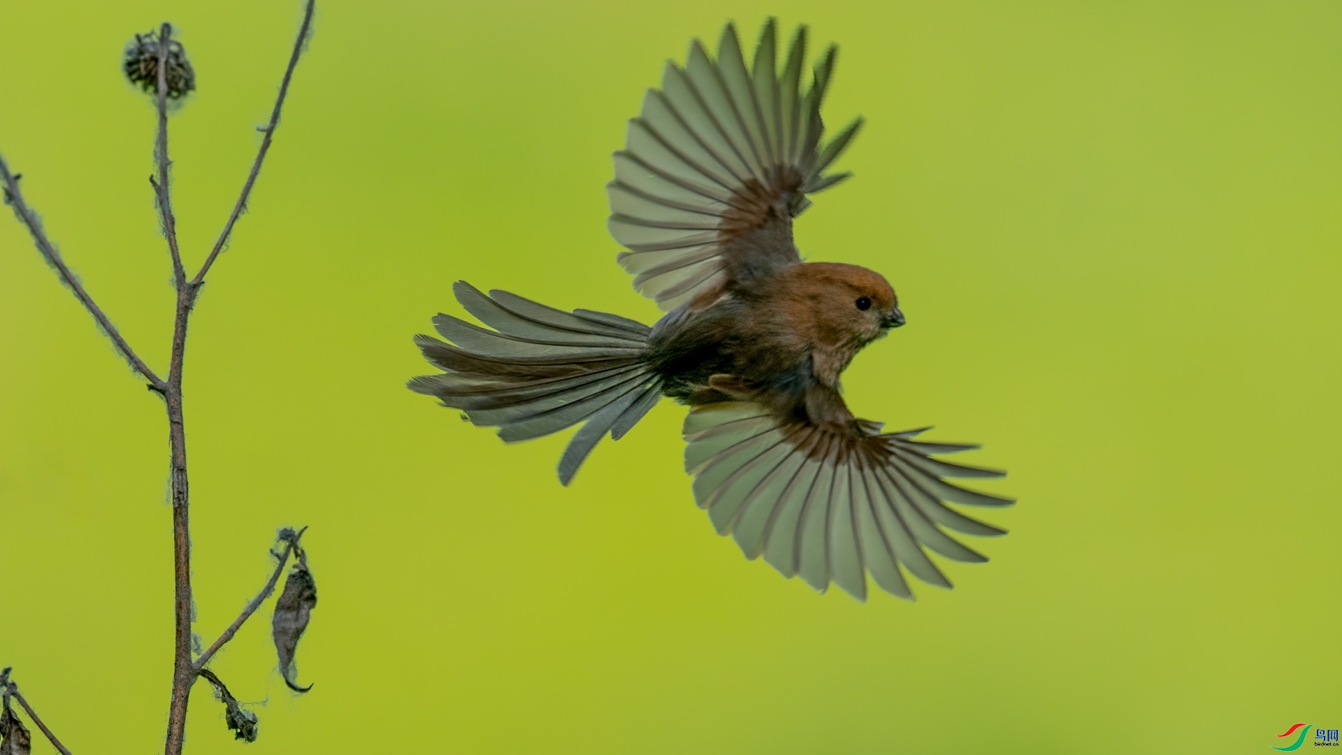 �����ѵ���ͷѻȸ ���� �������� ����.jpg