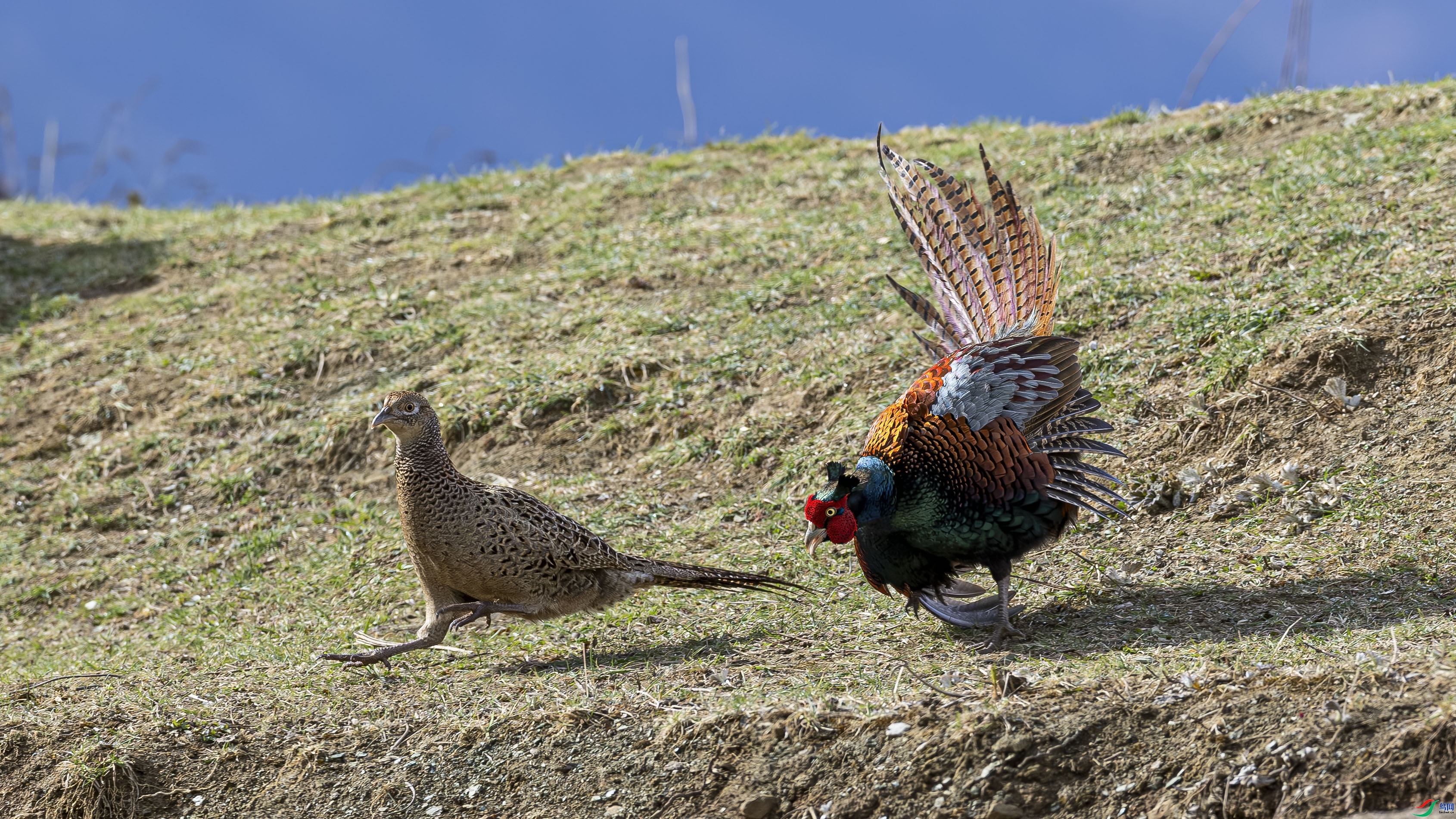 ׷ ���� ɳ���Խ� ����.jpg