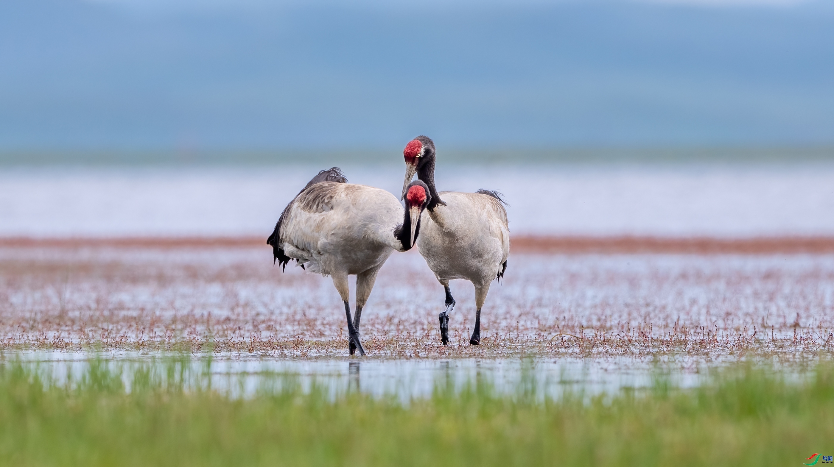 ʪ���  ���� ��Ͽ֮�� ����.jpg