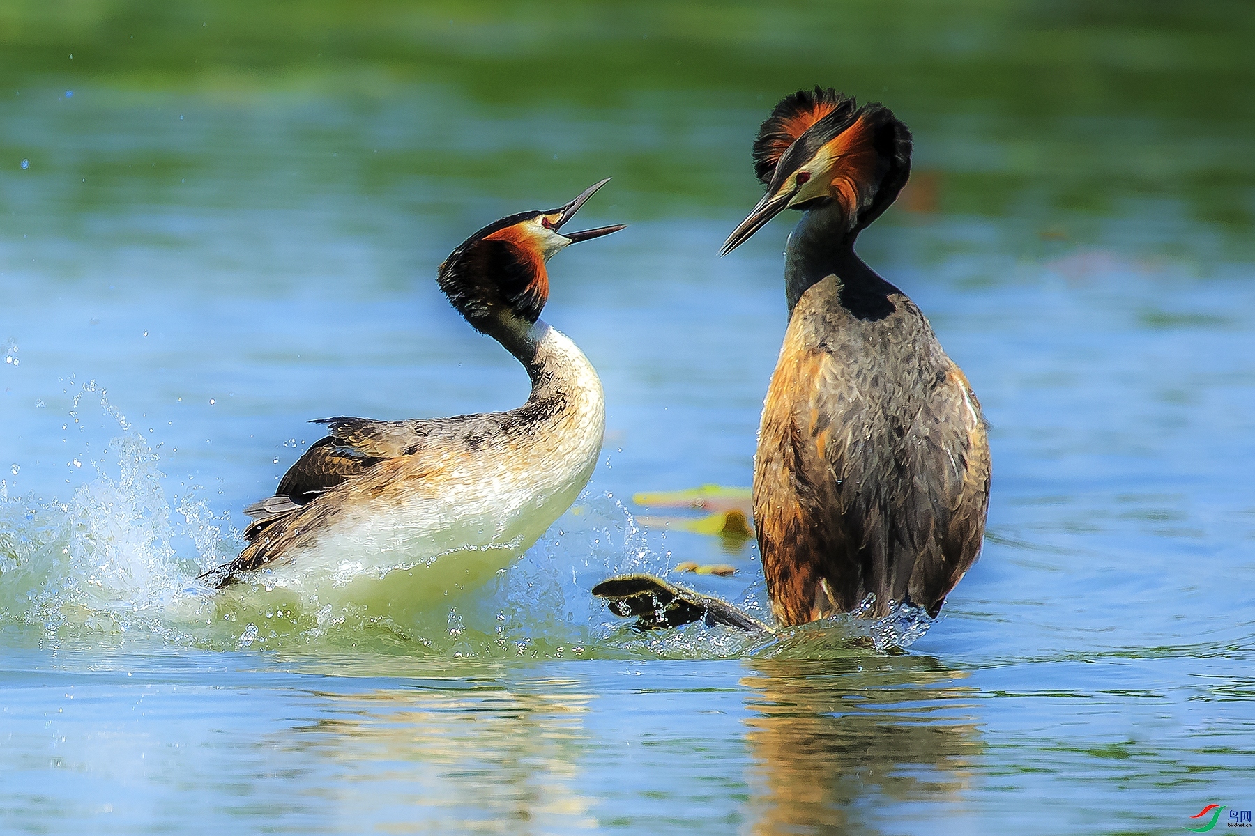 �� ���� ����55  ����.jpg