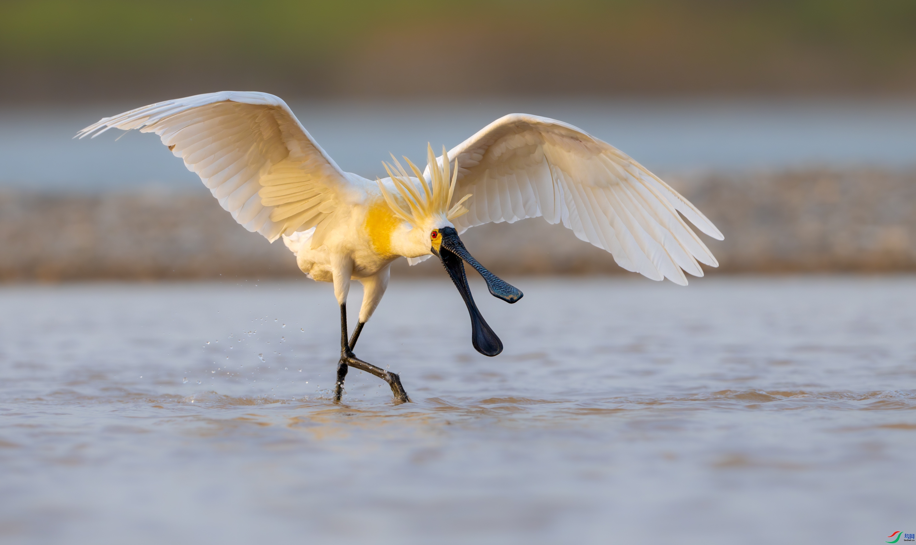 ���� ���� ��Ͽ֮�� ����.jpg