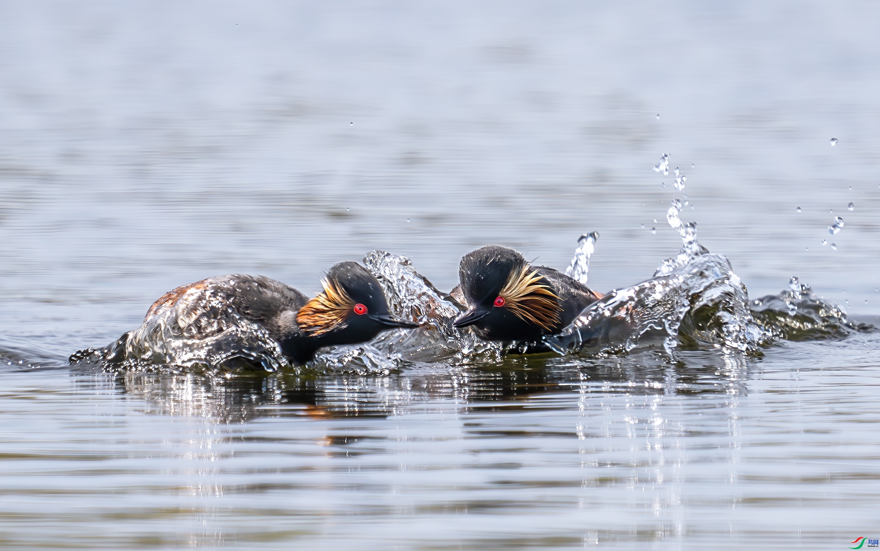 �˻���ɳ����ֵĸ� ���� С�׺� ����.jpg