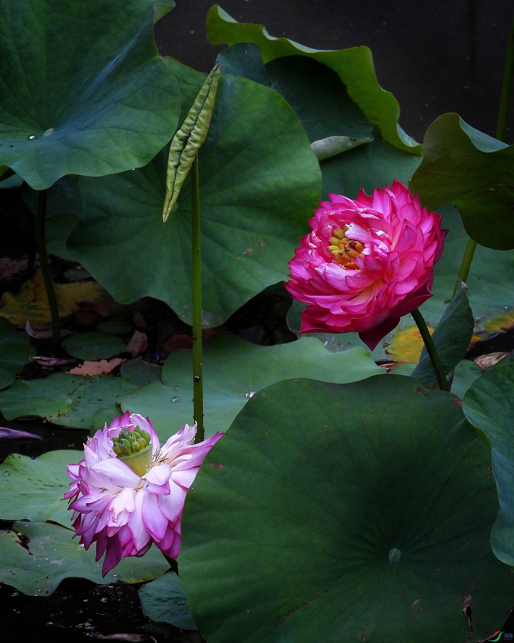 DSCN3231.JPG