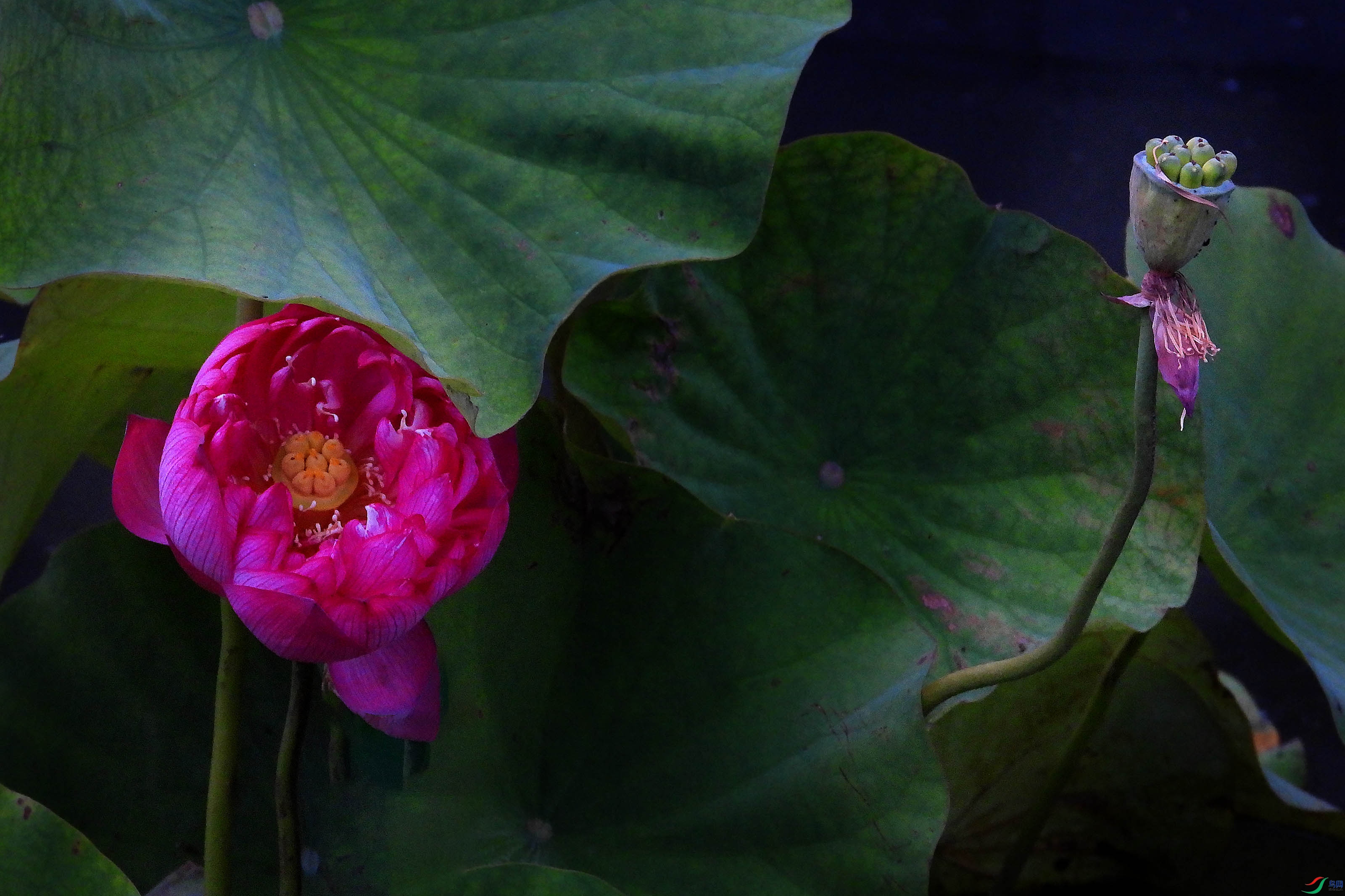 DSCN3235.JPG