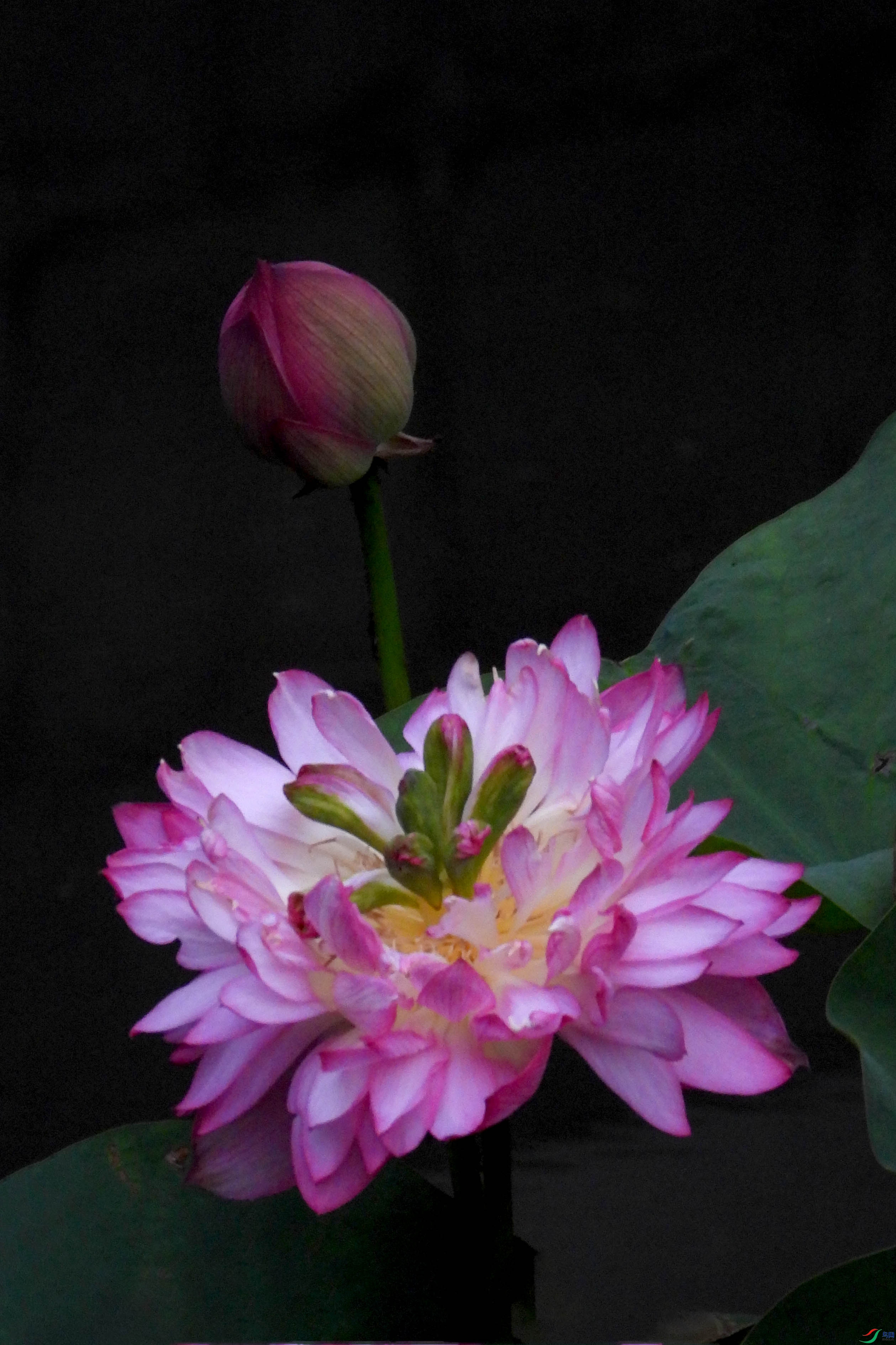 DSCN3238.JPG