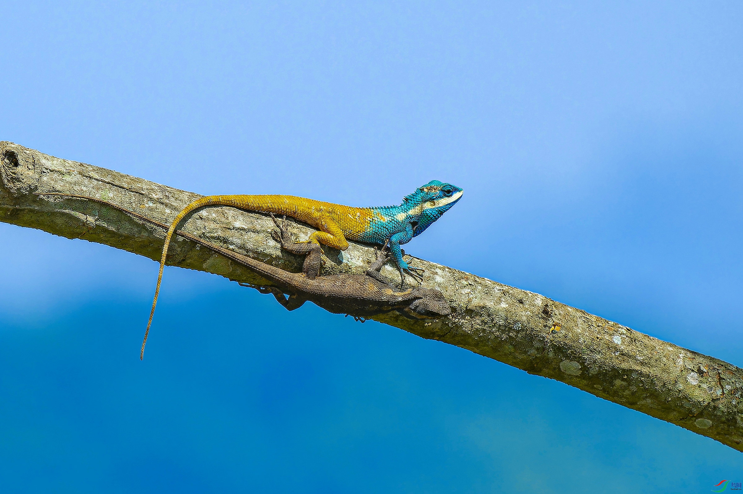 �״����� (9)-1.jpg