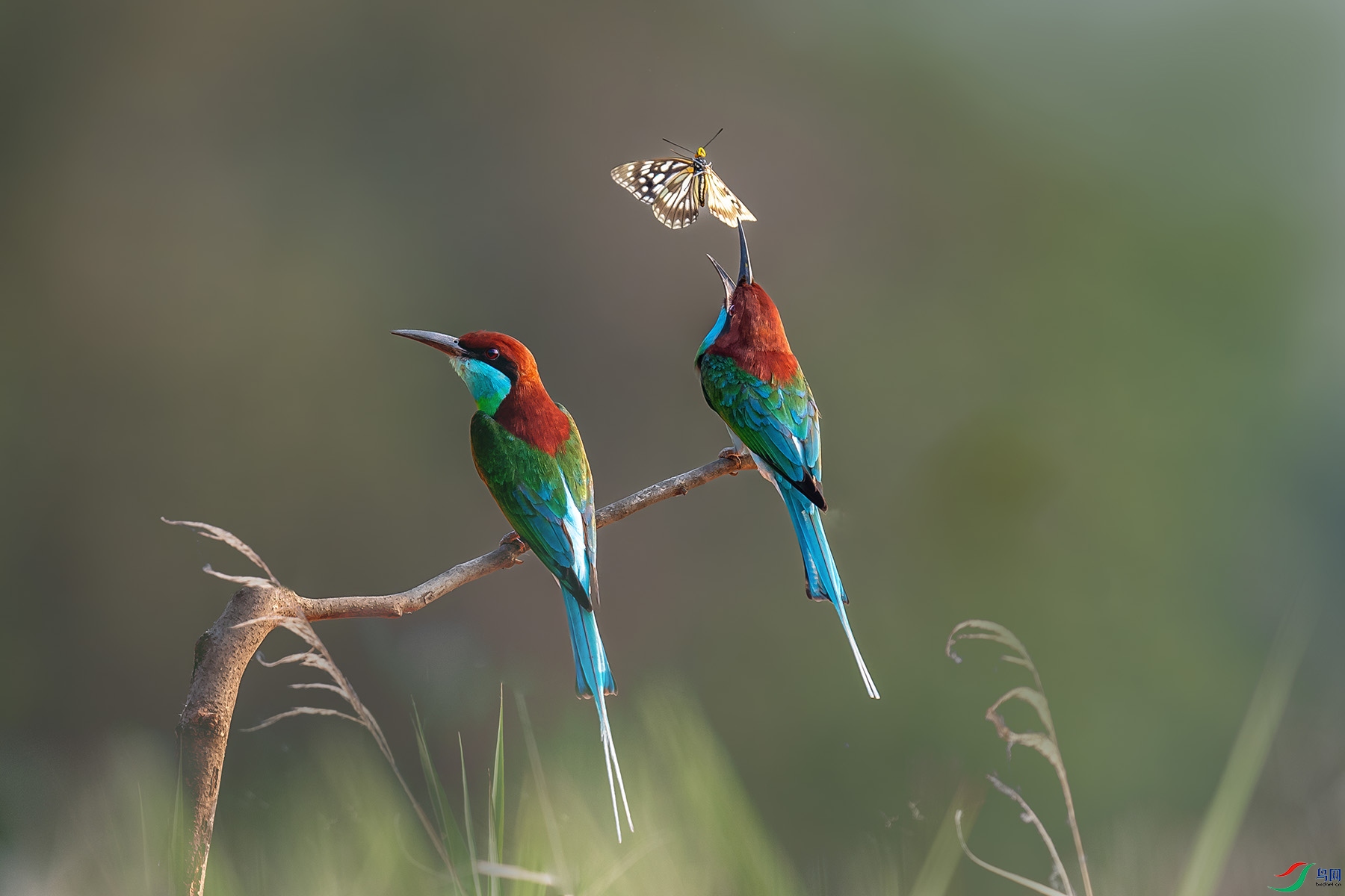 DSC_1290 ���� 3.jpg