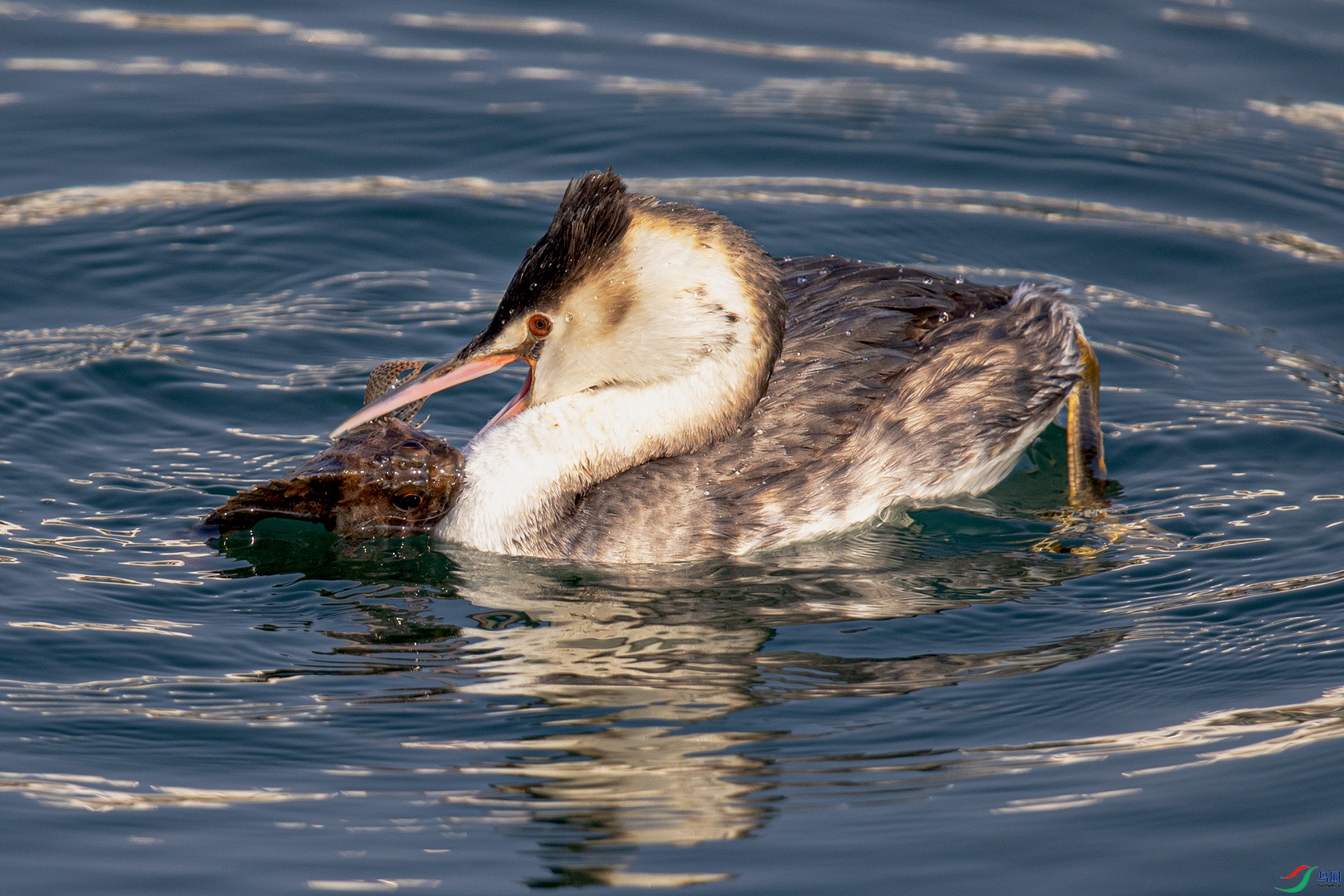 _90I5673 ����.jpg