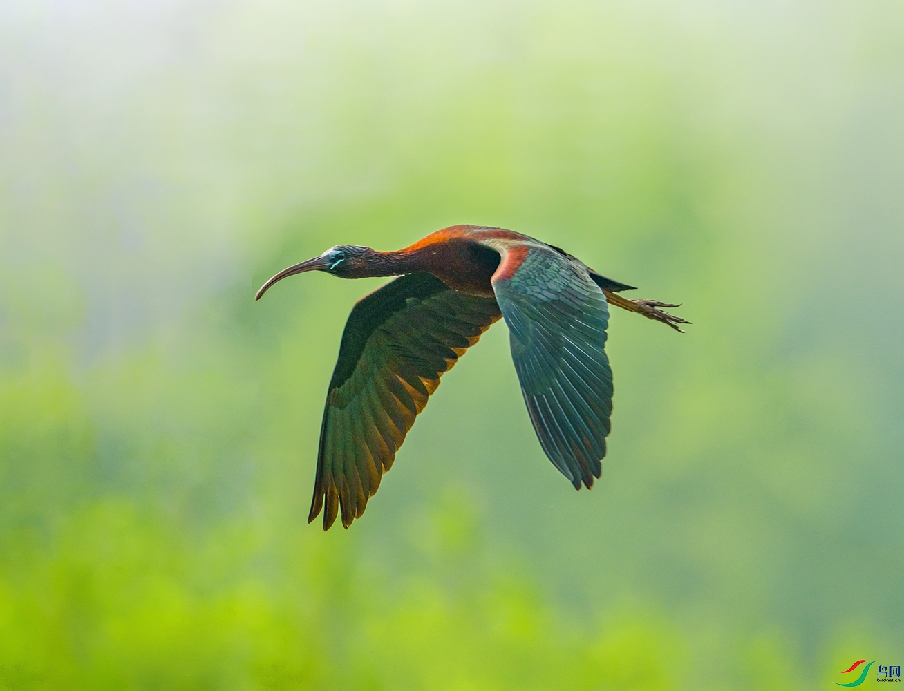 DSC_1827 ����---2.jpg