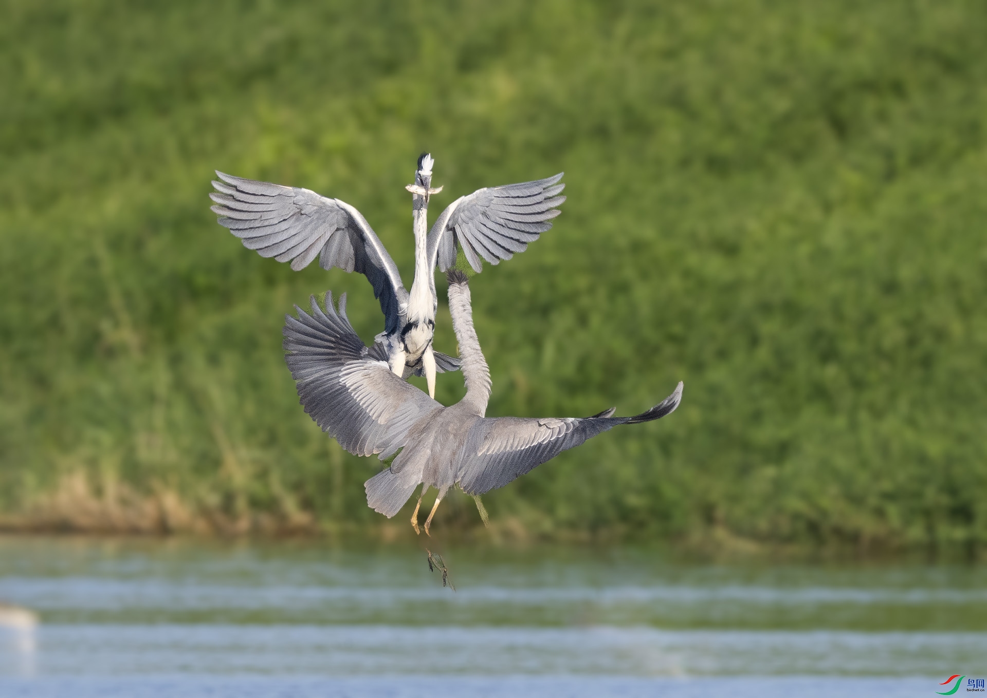 ��DSC_5741 ��ؐ.jpg