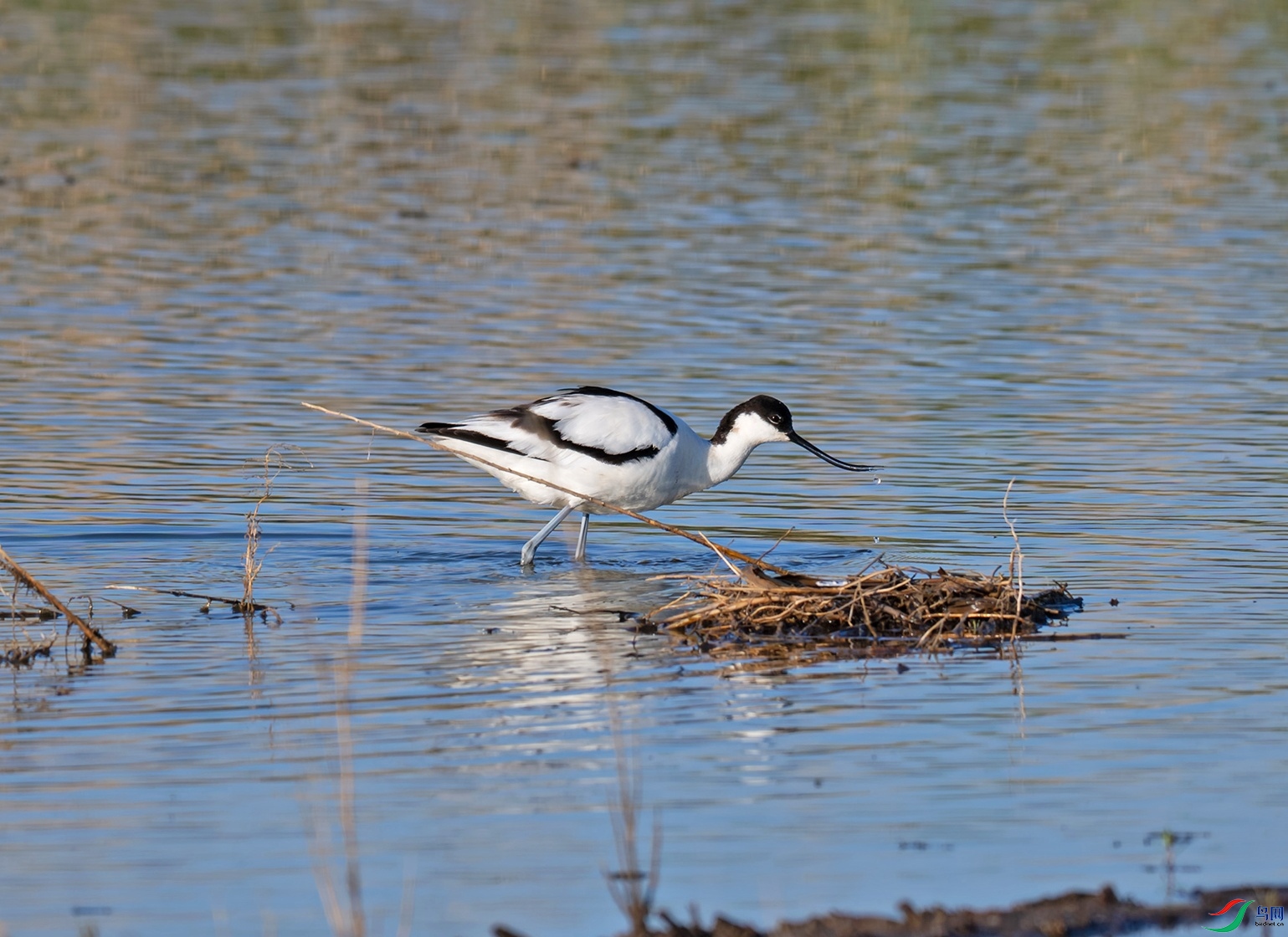 _DSC7560f.jpg