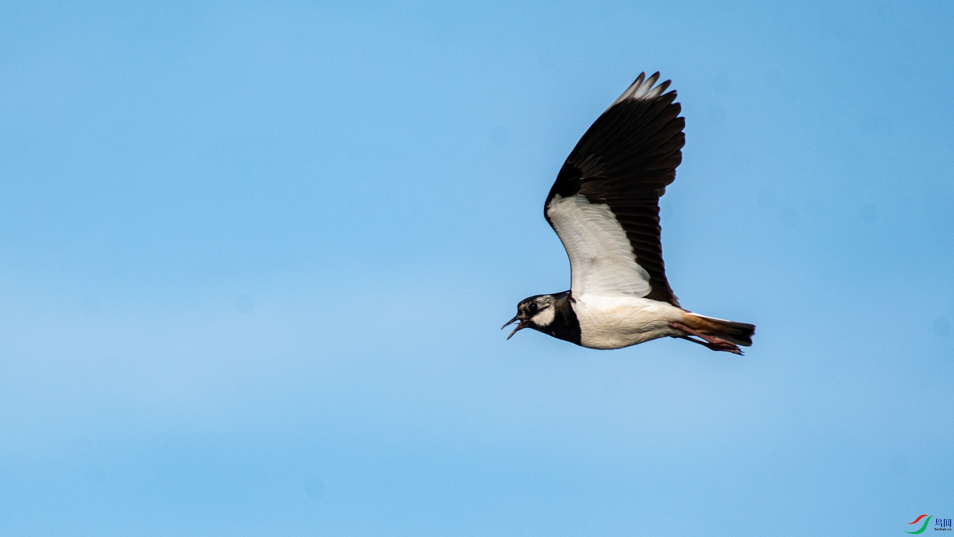 _DSC3998.jpg