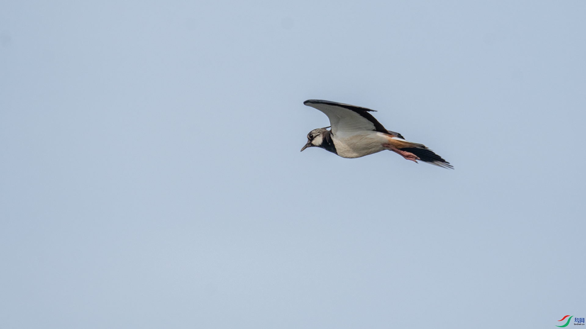 _DSC4016.jpg