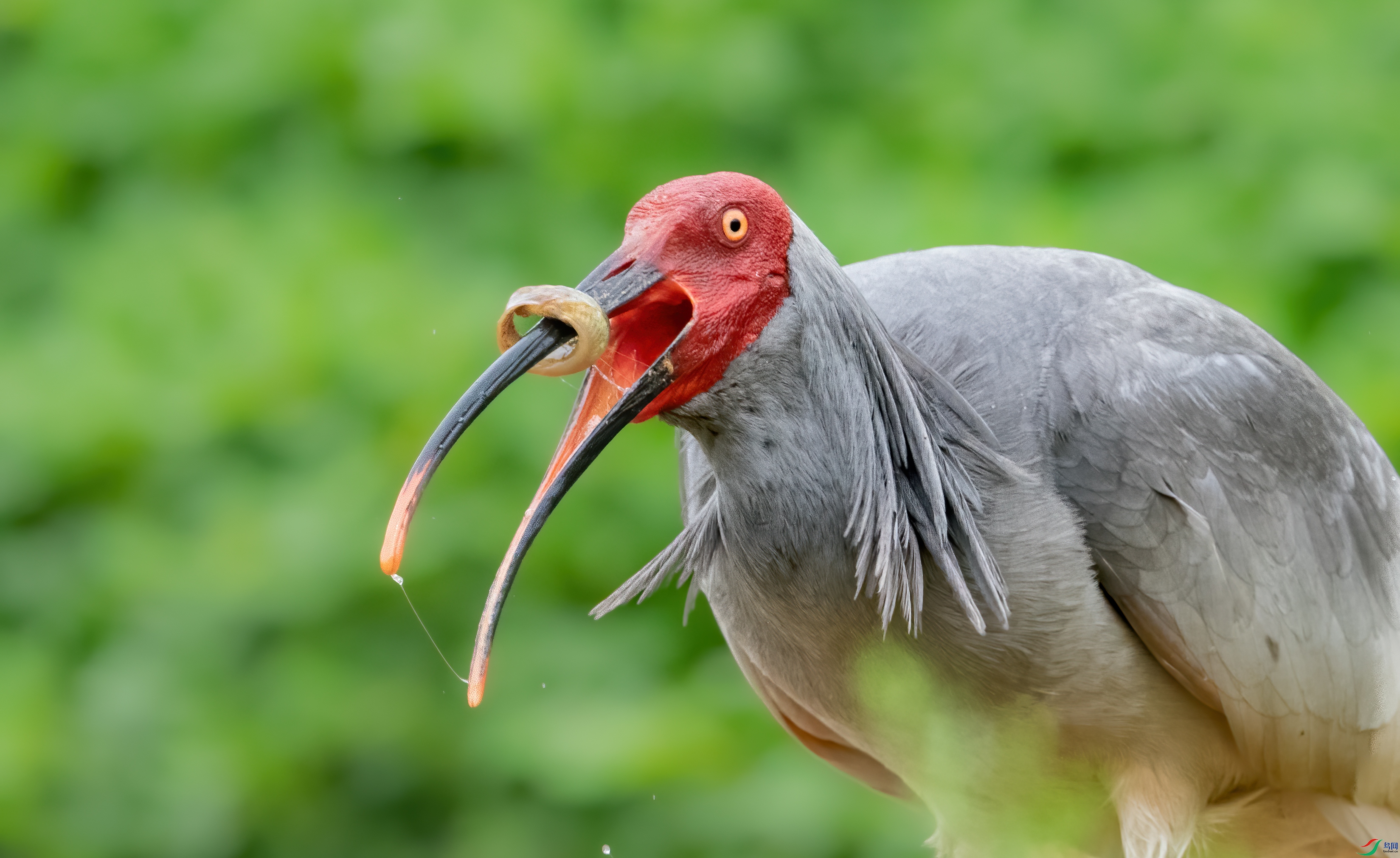 DSC_1241-1.jpg