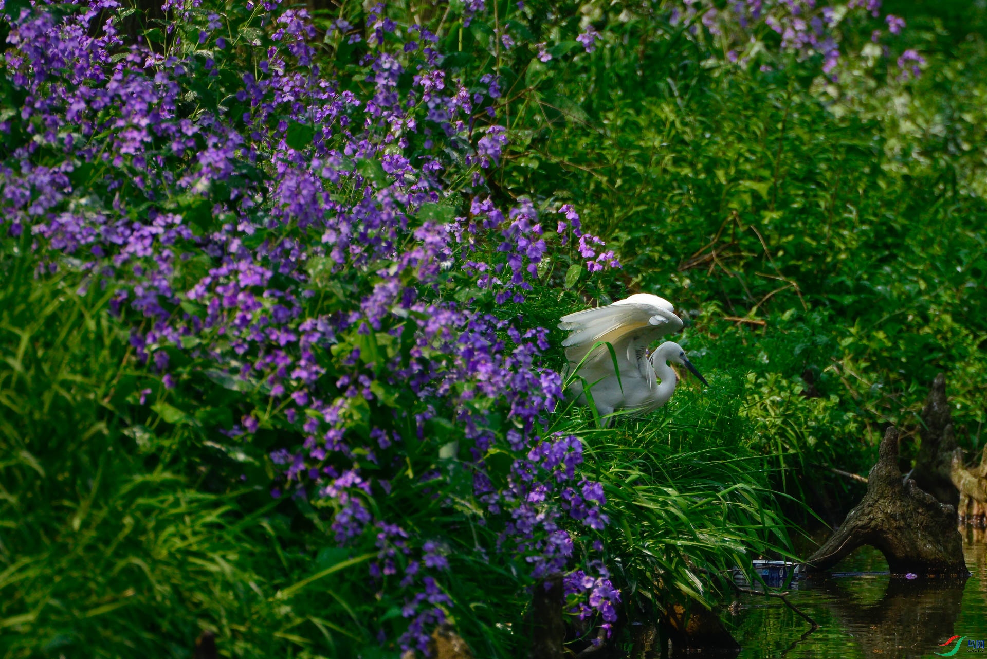 sen20144-26-202-�༭-2.jpg