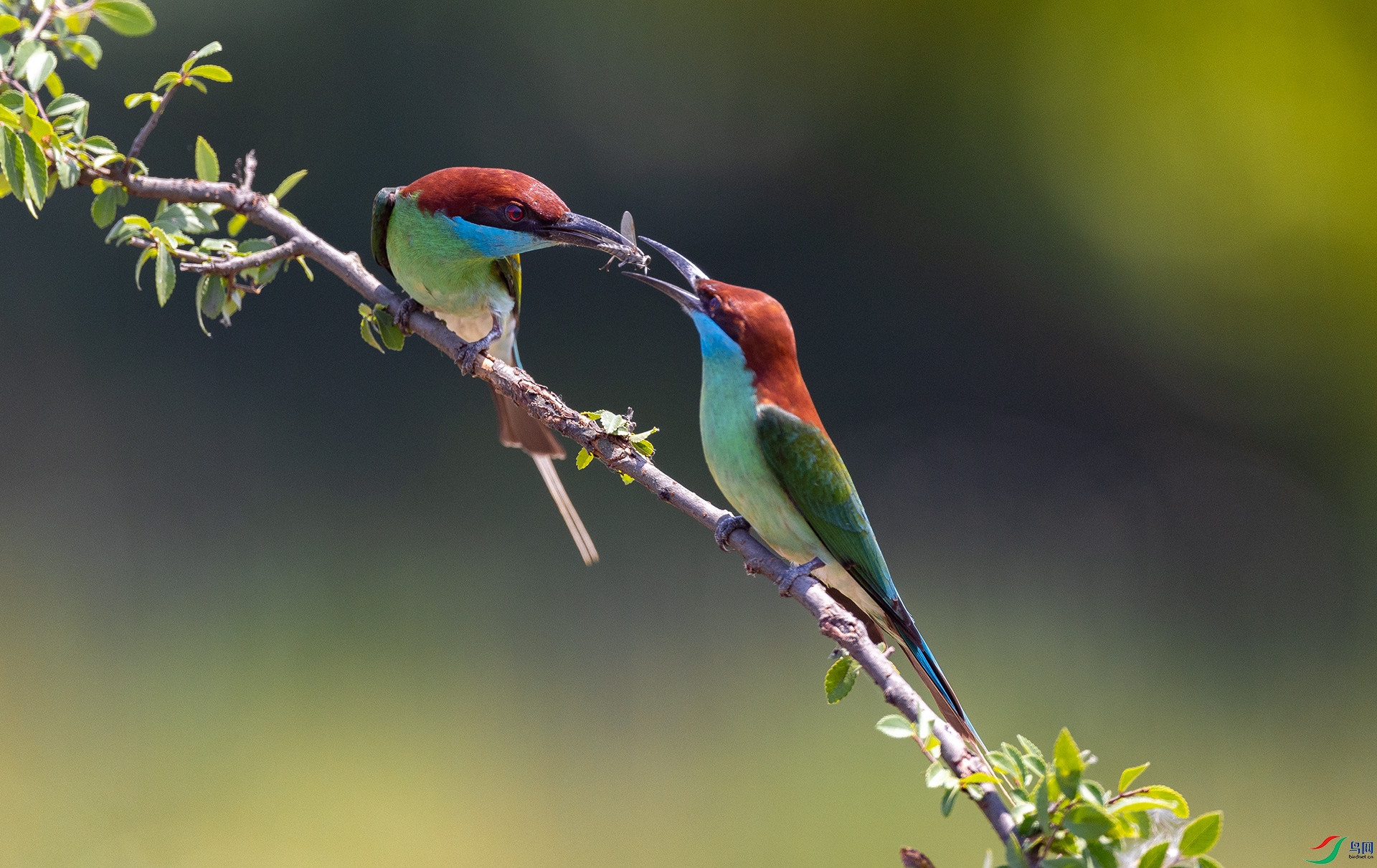 ����083A5848.jpg