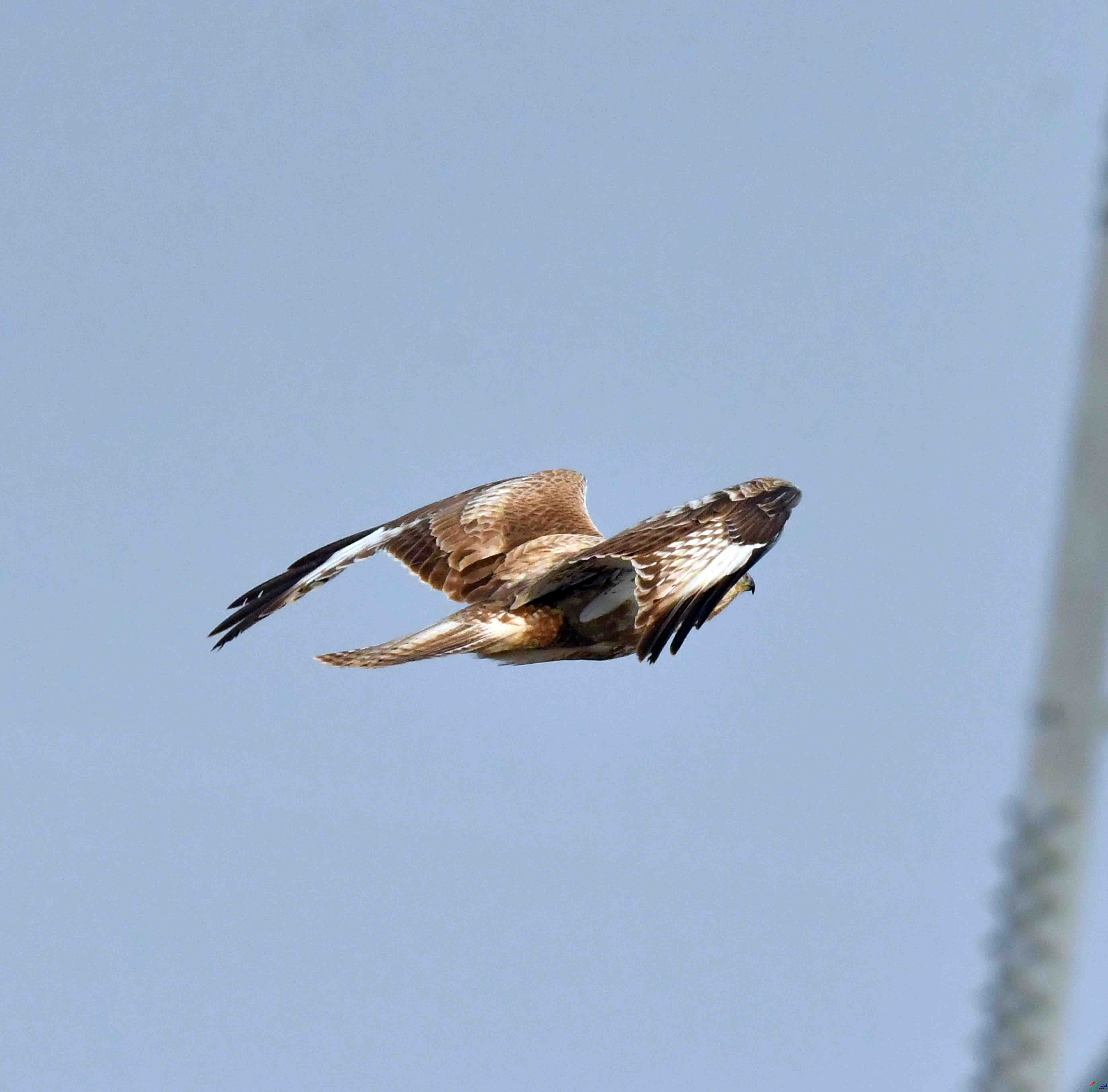 DSC_6112.JPG