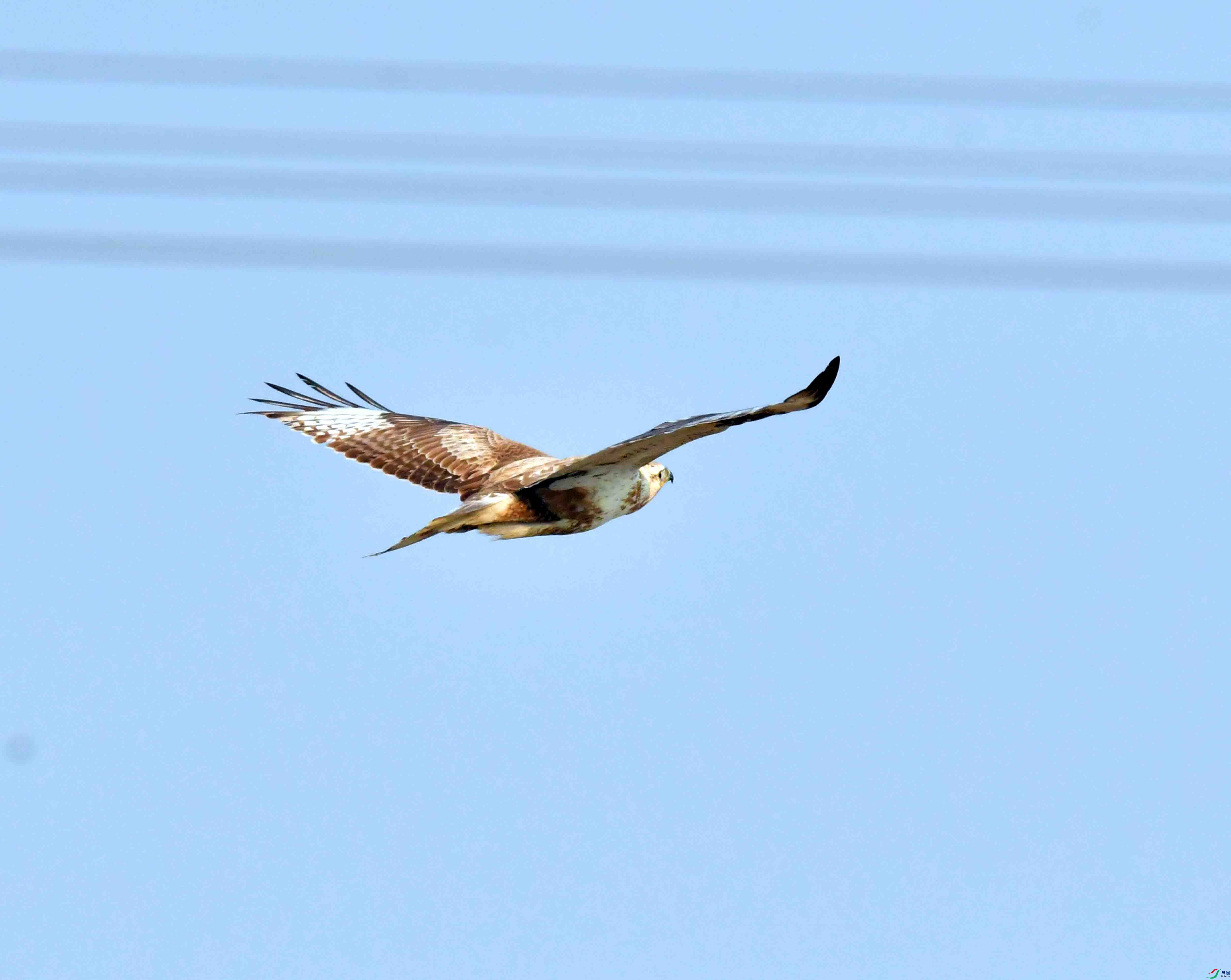DSC_6115.JPG