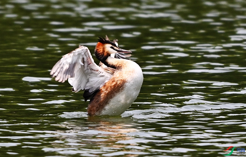 DSC_5861.JPG