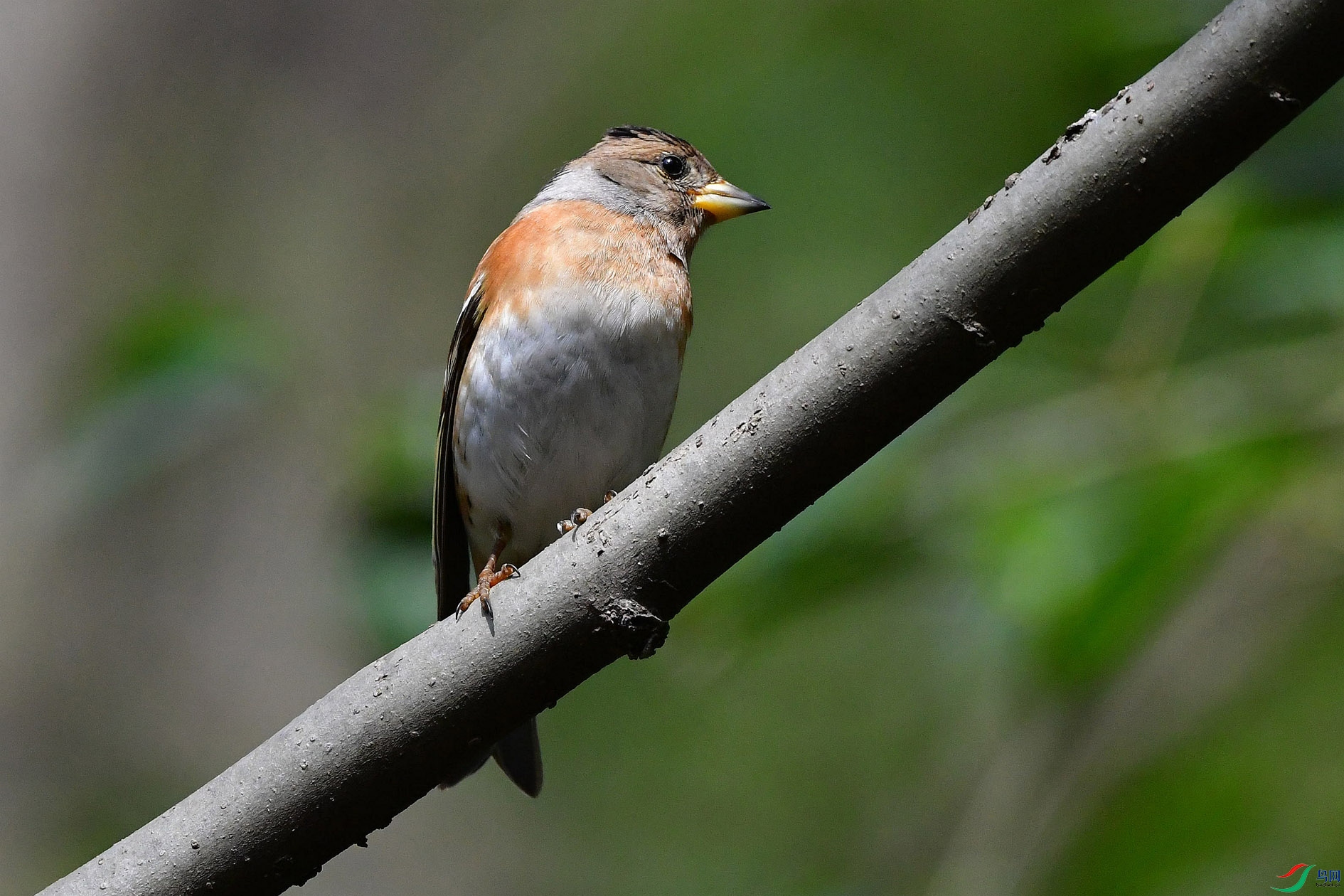 DSC_6718_����.jpg