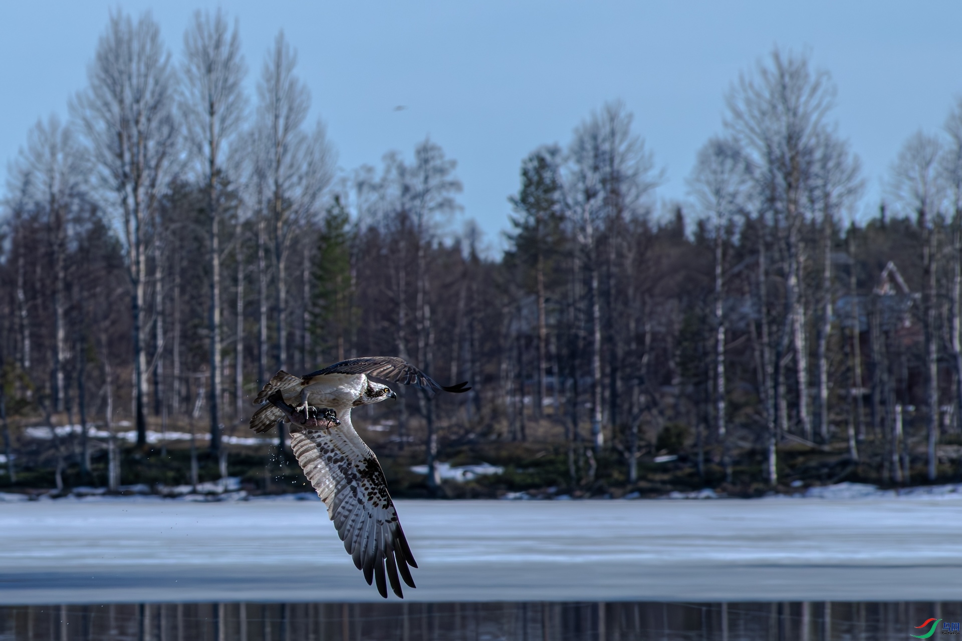 DSC_3101_����.jpg