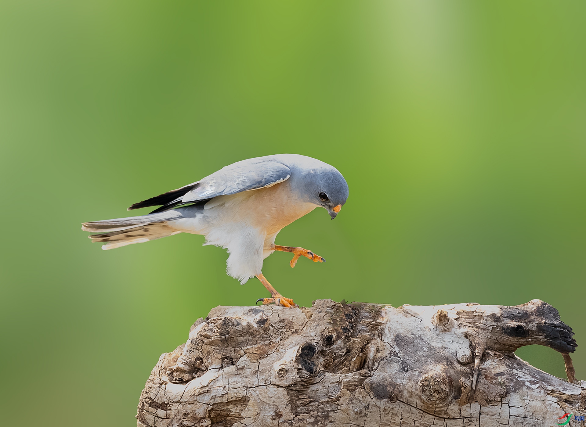 019A1027 ����.jpg