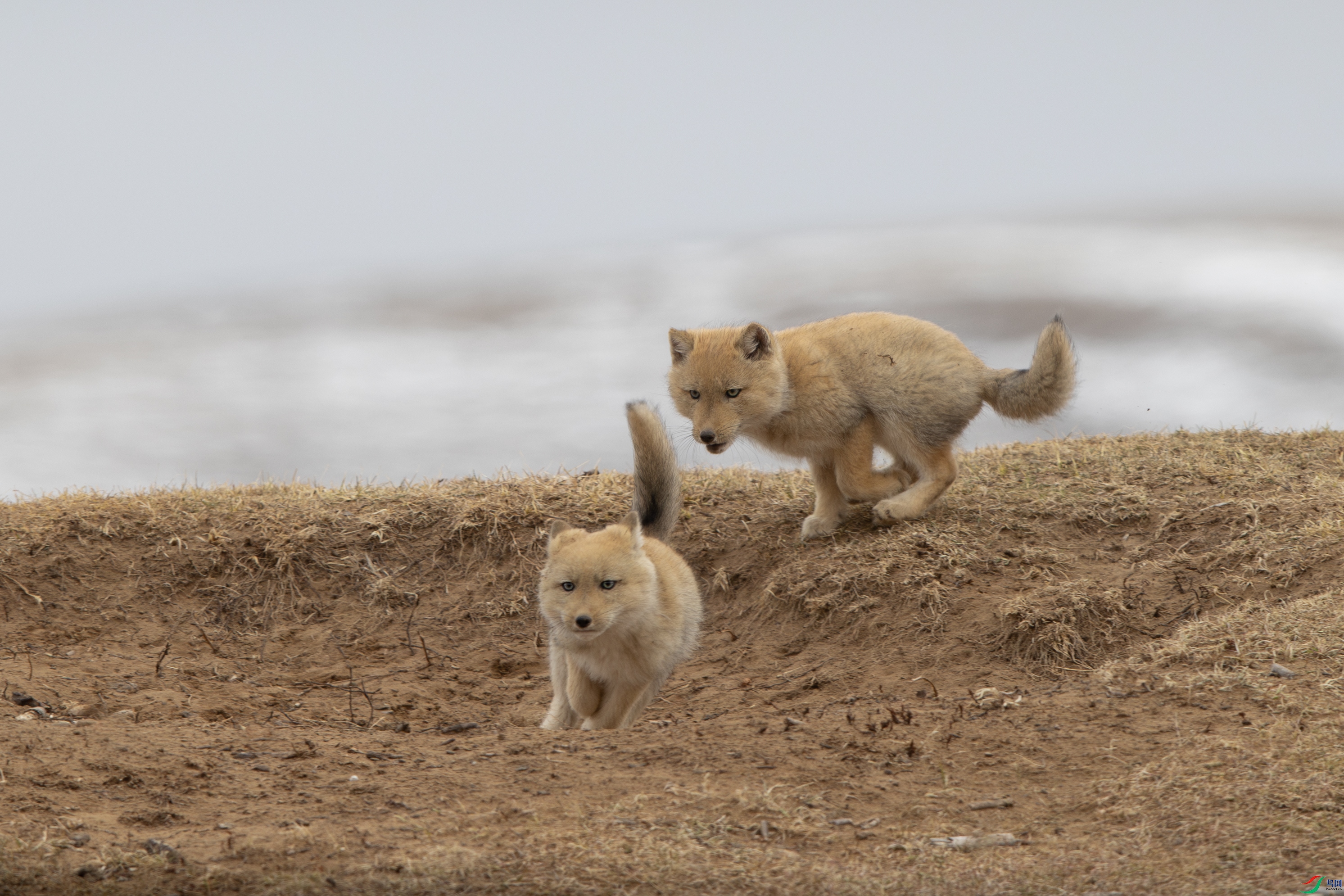 A15I3091- ����.jpg