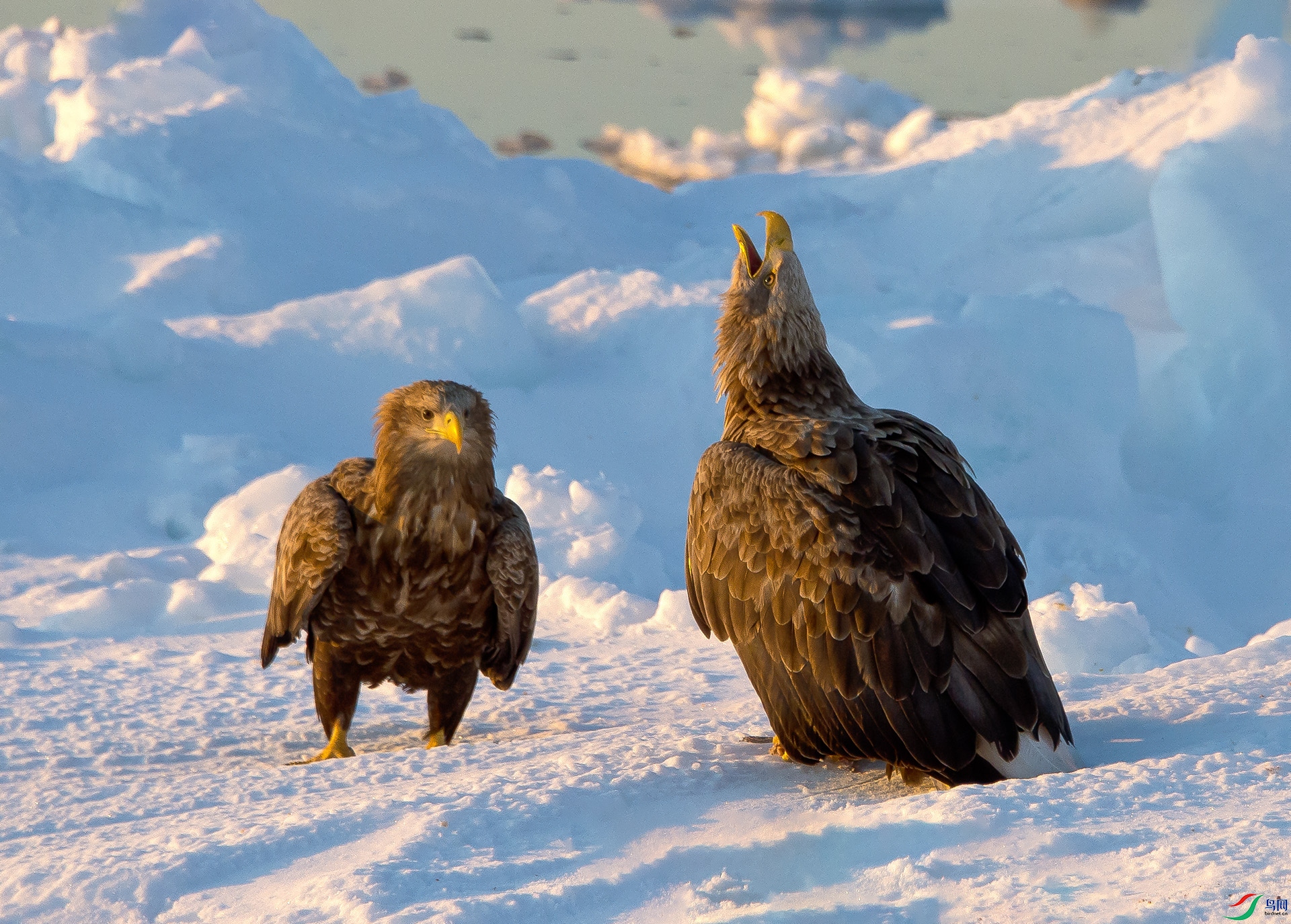 ��DSC_1898 ��ؐ.jpg