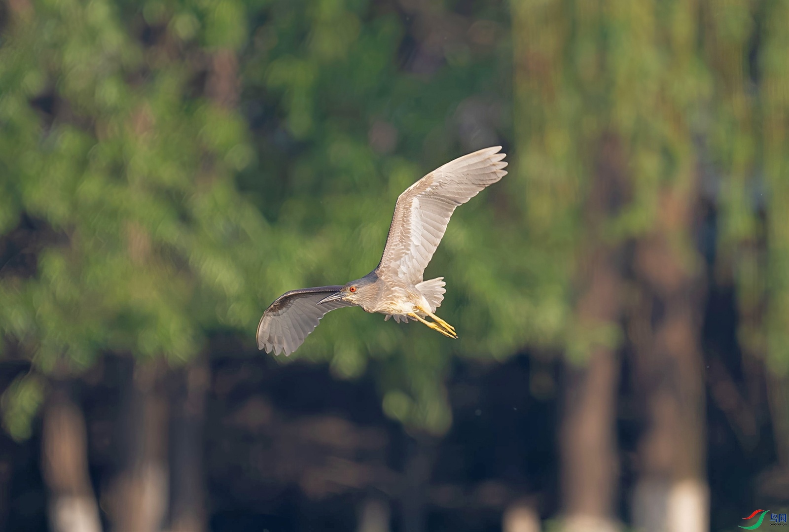 _DSC7175f.jpg