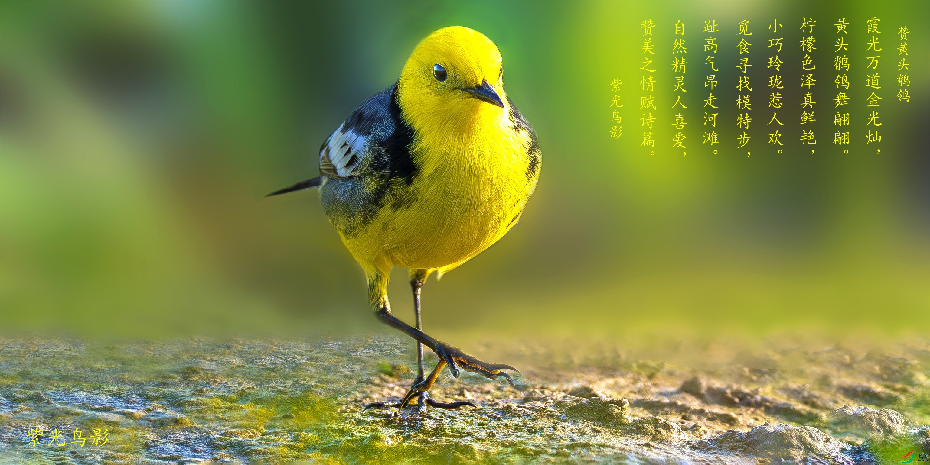 _DDS8205[]_����.jpg