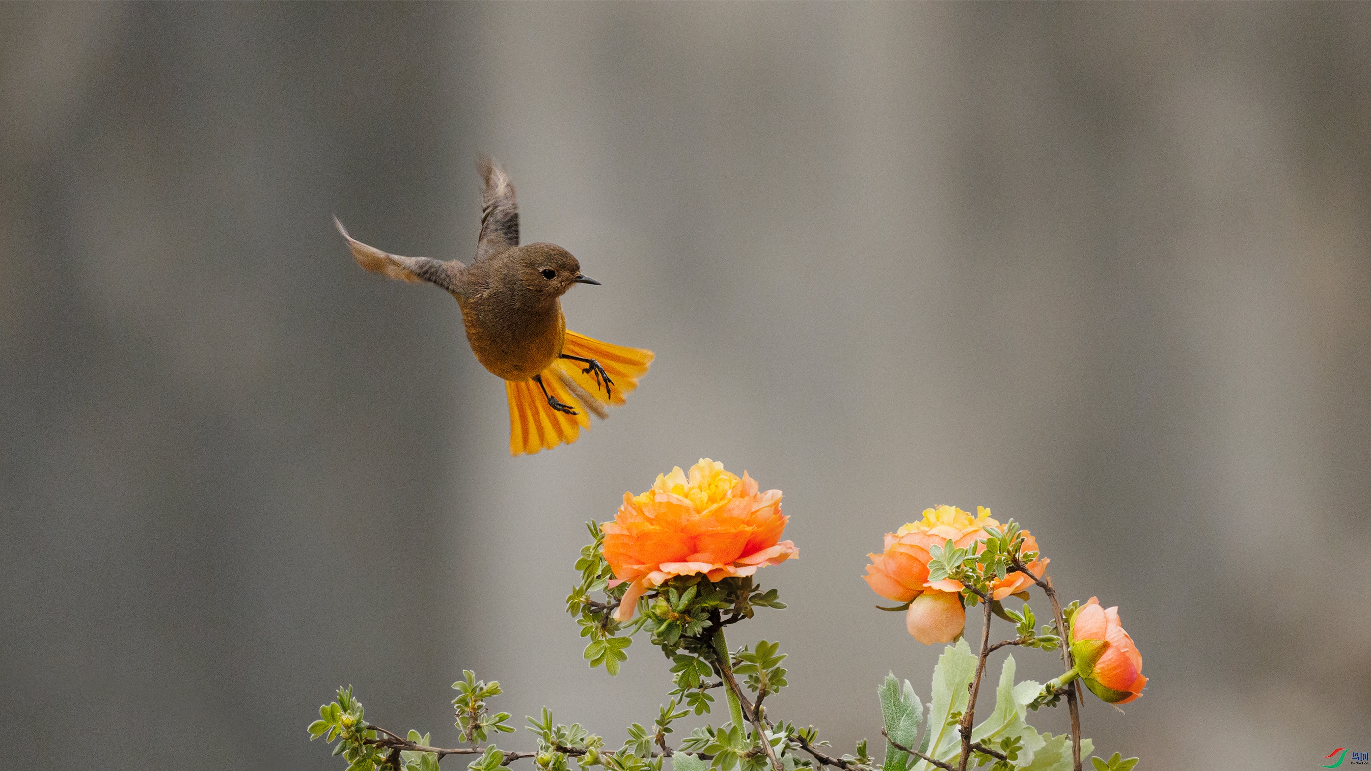 7X5A3156 ����6666.jpg